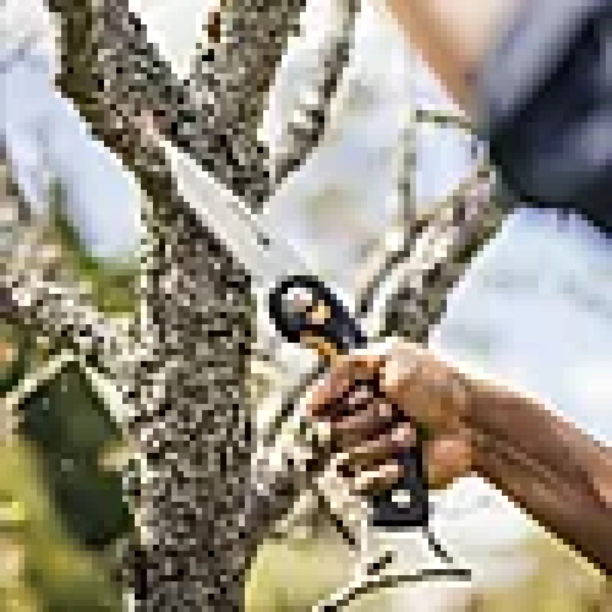 Grensag foldbar PLUS M SW68-Fiskars Outlet