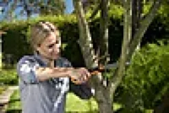 Grensag liten bladlengde 16cm-Fiskars Clearance