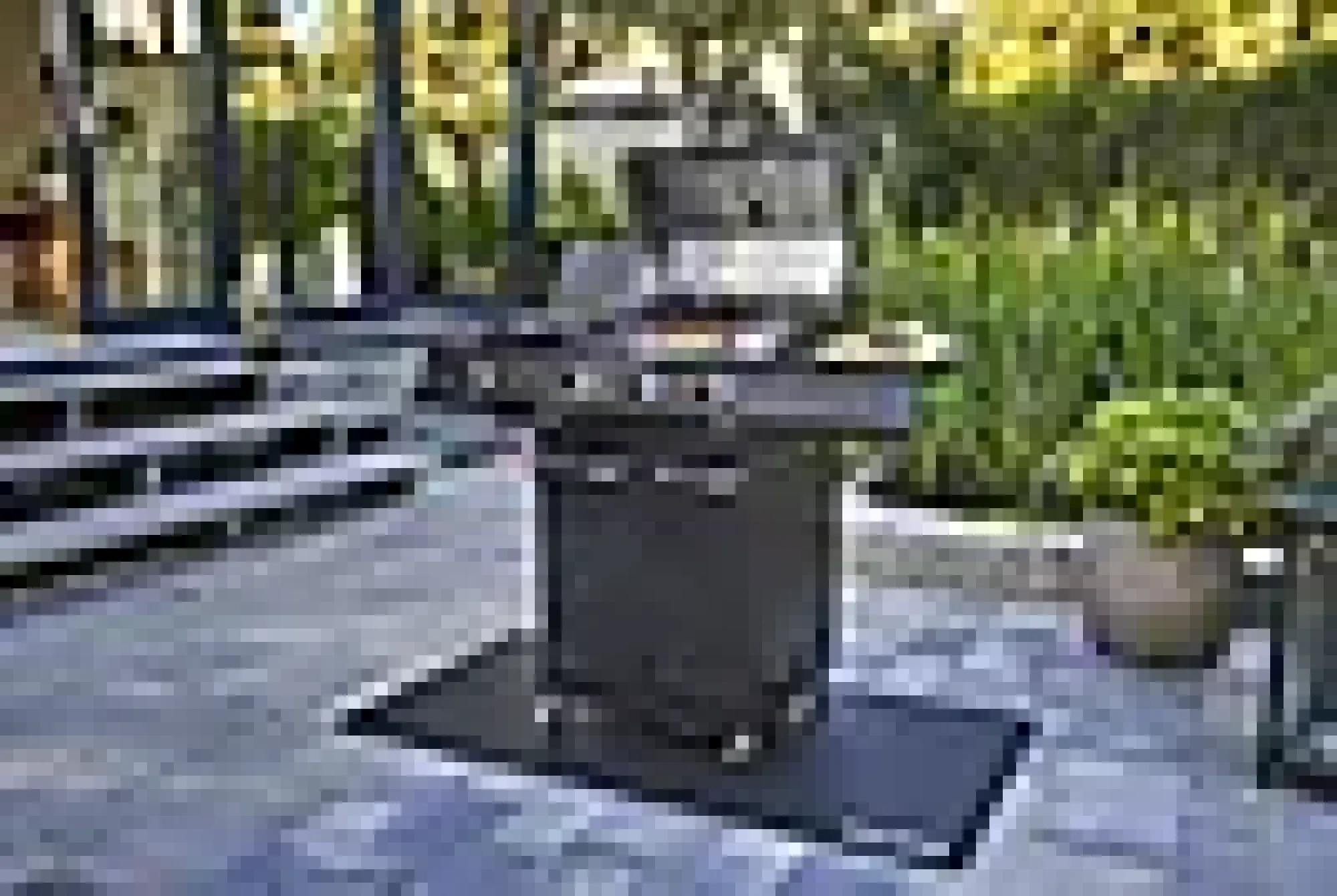 Grillmatte i sort pvc 150x80cm-Char Broil Online