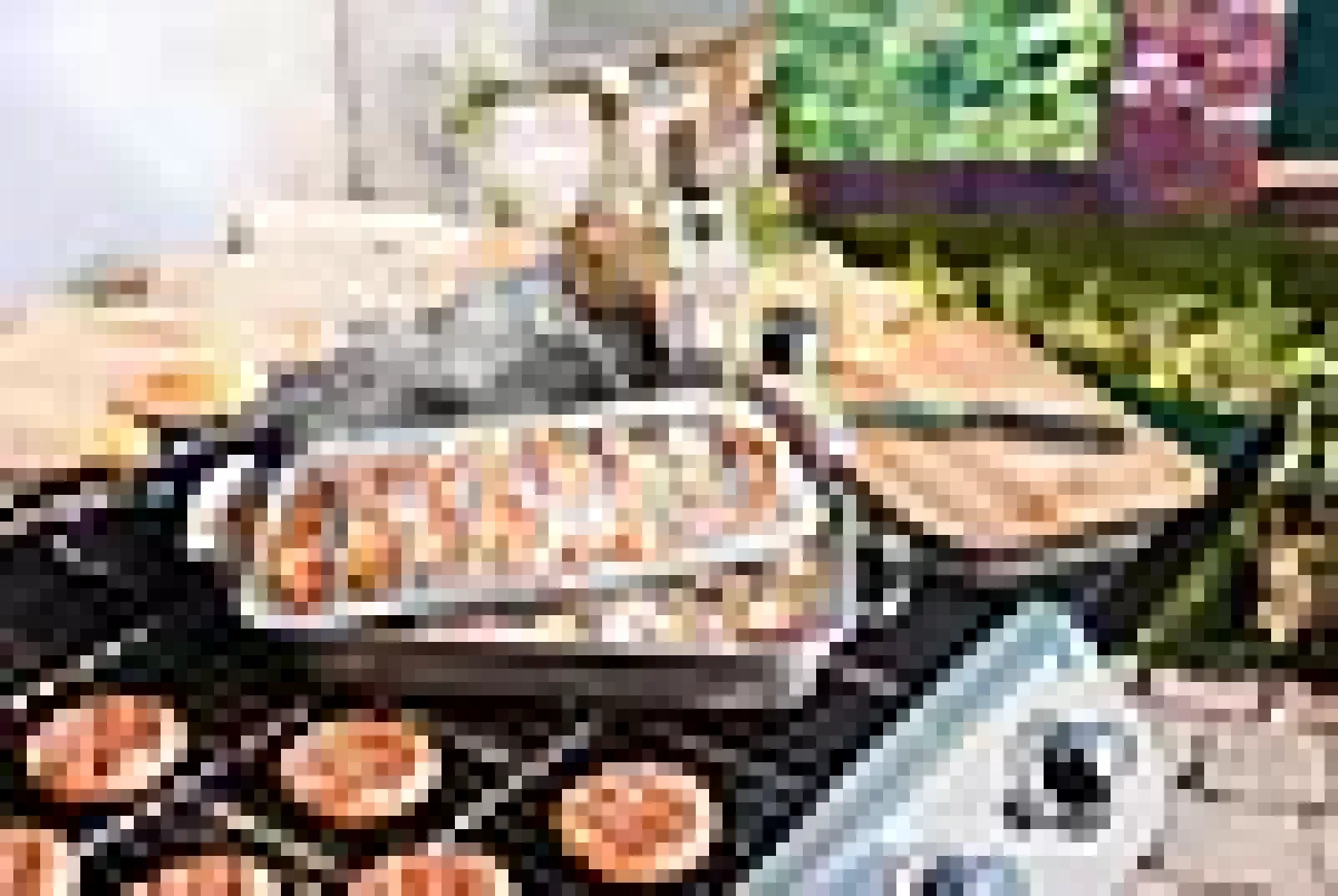 Grillplate 22x42,5x5cm-Char Broil New