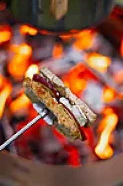 Grillspyd teleskop-Espegard Discount
