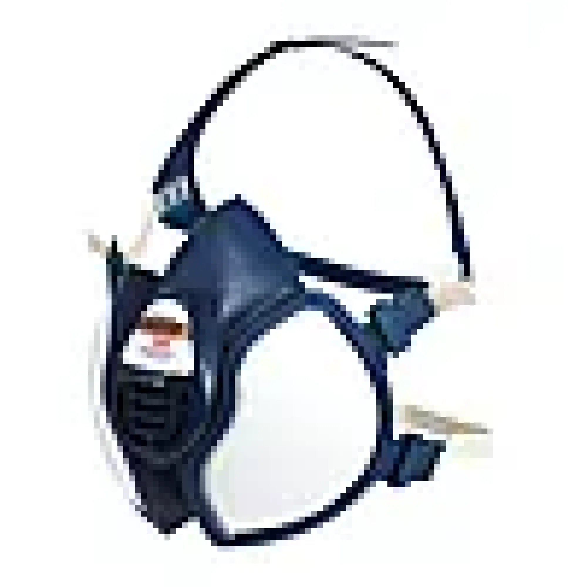 Halvmaske 4251+Malingssprøyte-3m Best