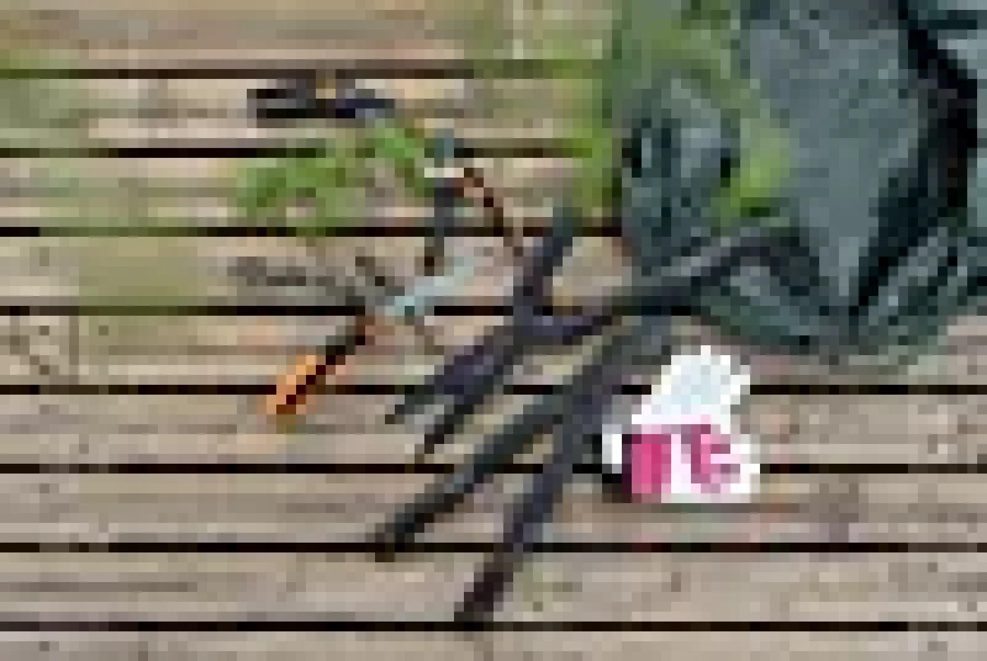 Hekksaks Singlestep-Fiskars New