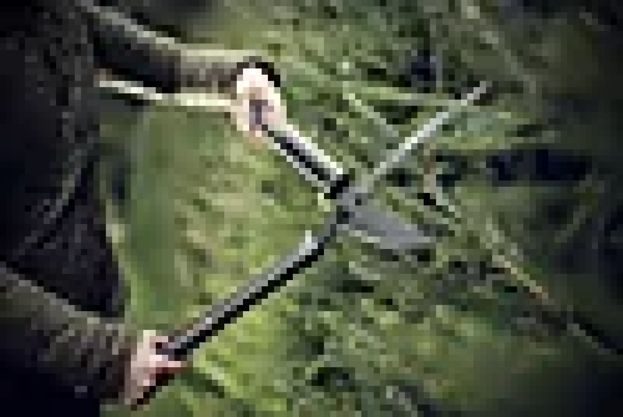 Hekksaks Singlestep-Fiskars New