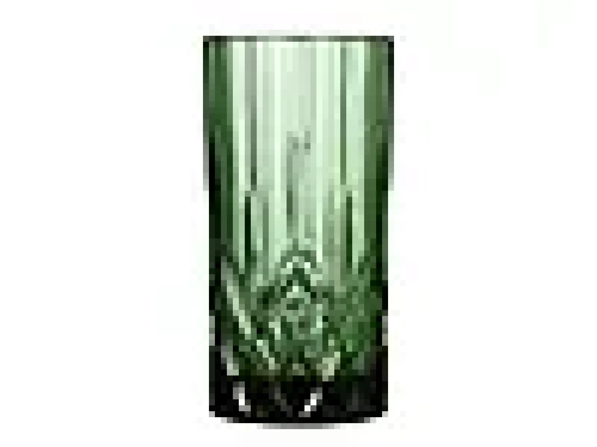 Highballglass Sorrento 45cl 4stk-Lyngby glas Hot