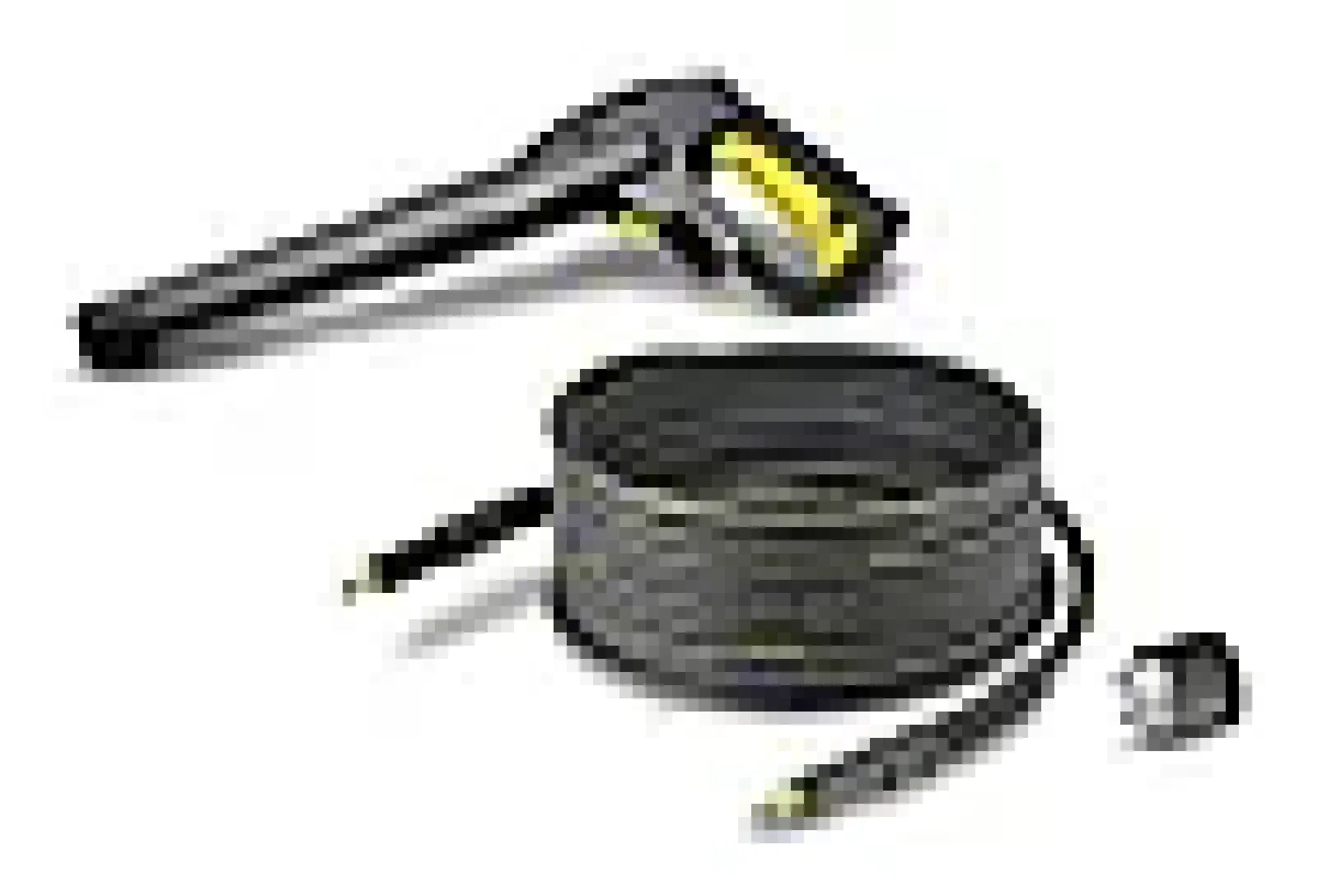 HØYTRYKKSLANGE QUICK CONNECT 12M-Kärcher Discount
