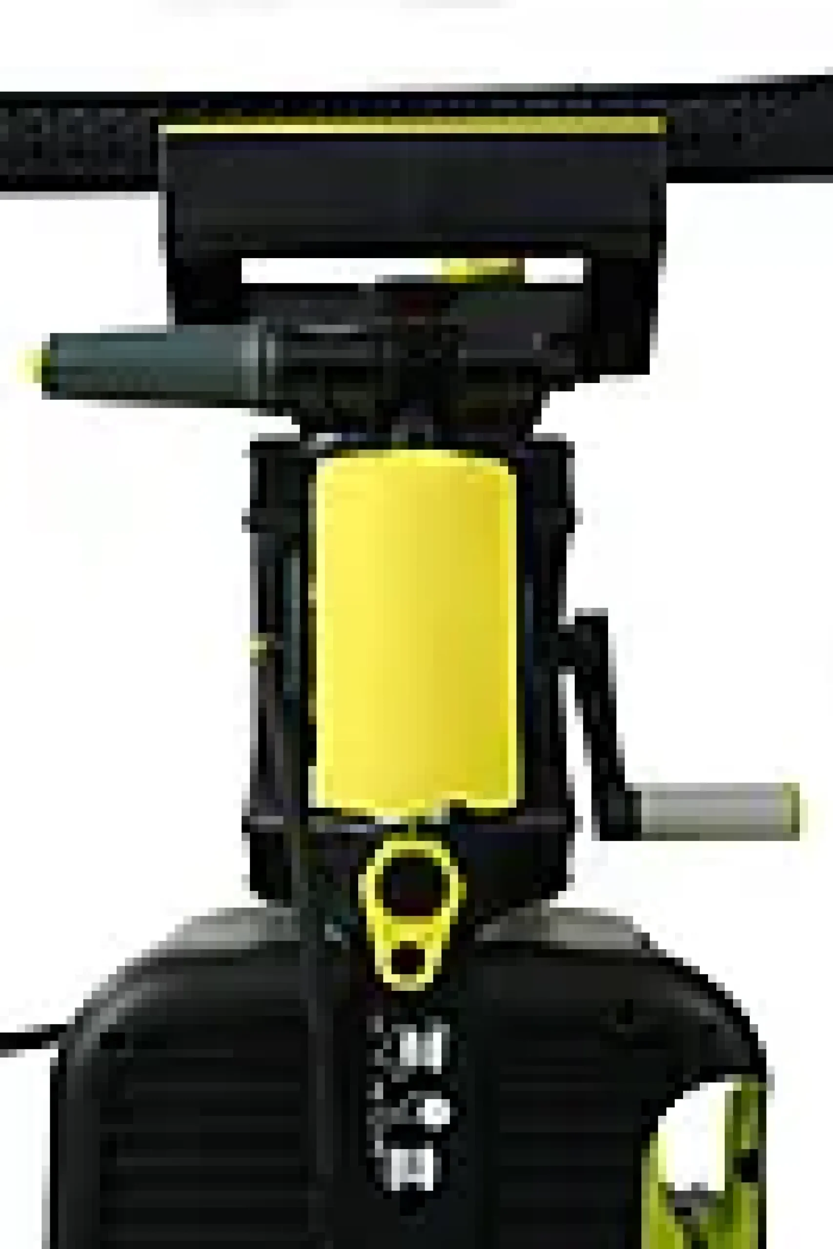 HØYTRYKKSSPYLER EVOLUTION P80 LARGE BUNDLE 160 BAR/600 LITER-Ava Hot