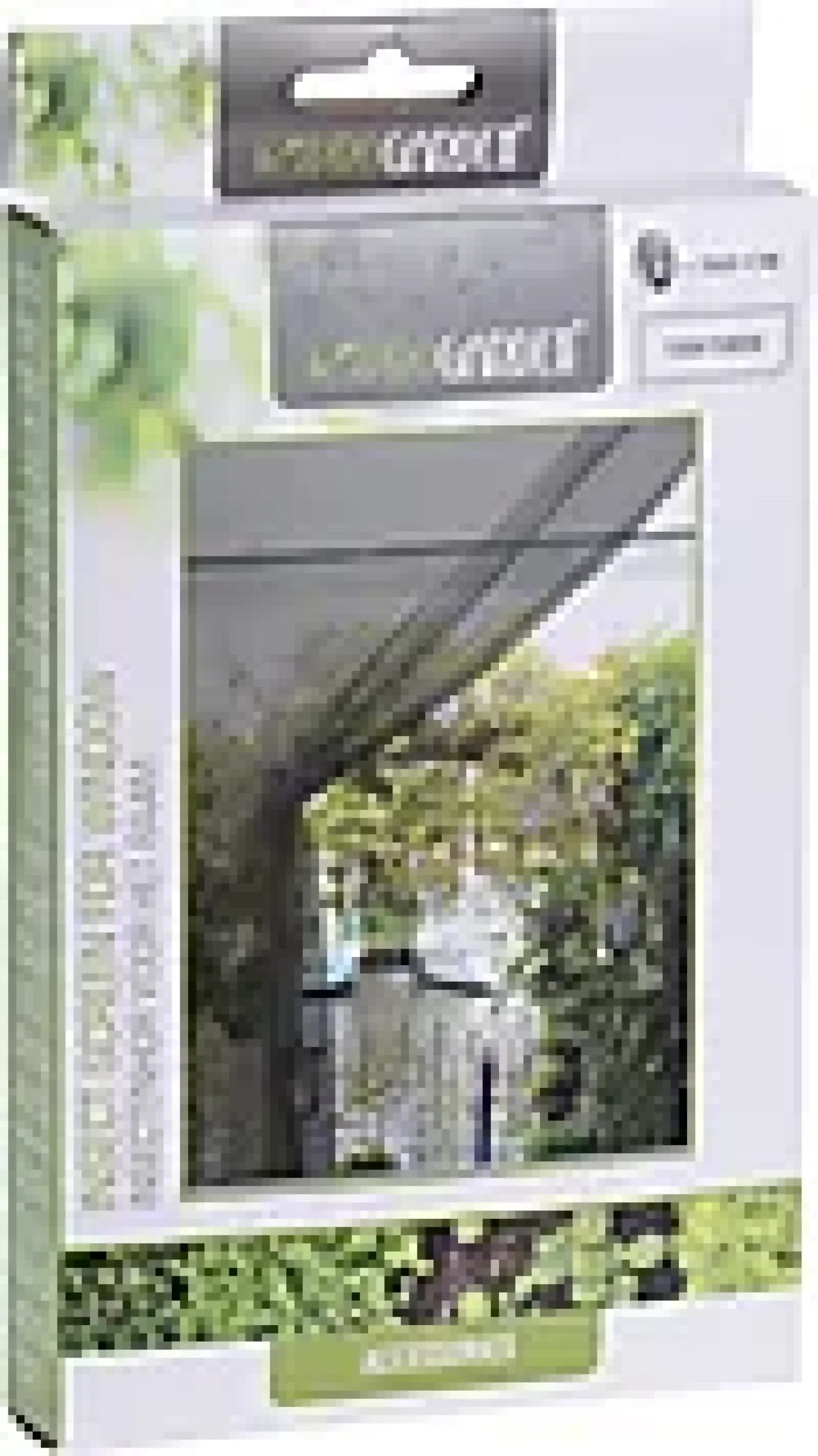 Insektsnett for vindu-Ki Outlet