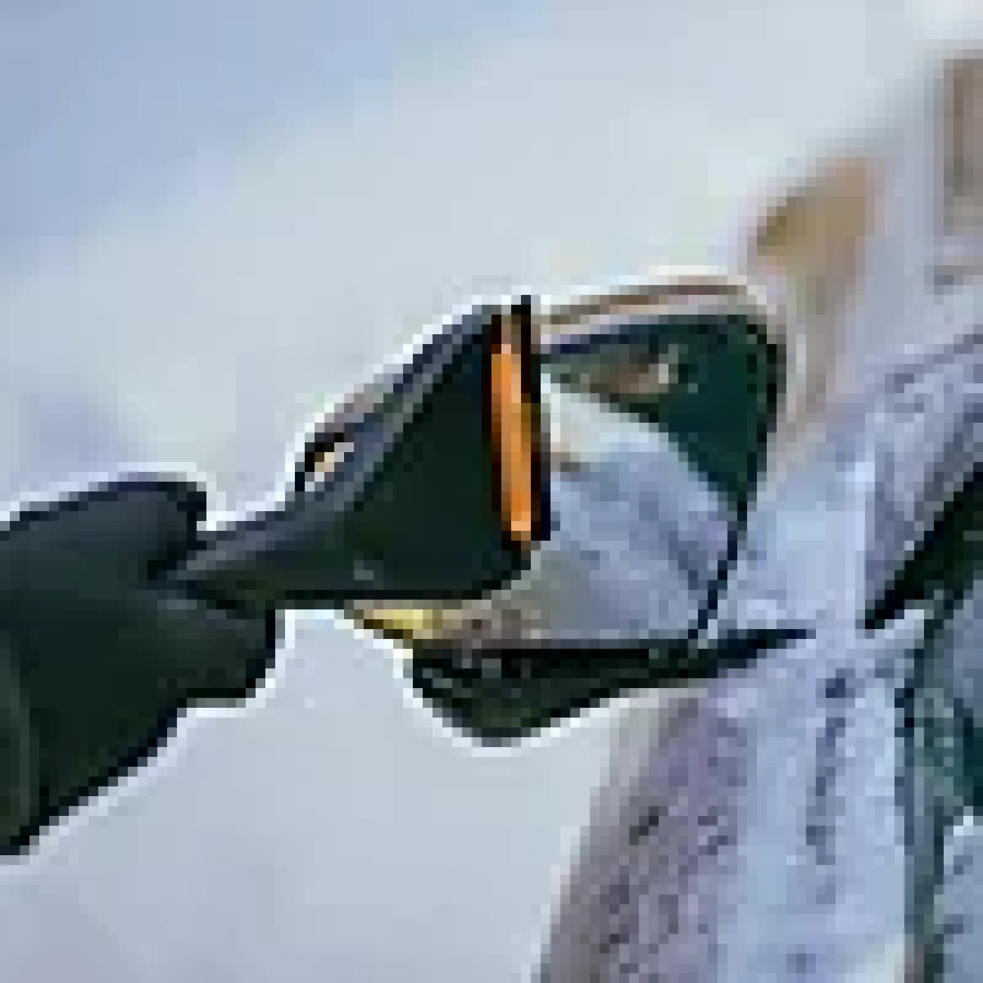 Isskrape Solid-Fiskars Hot