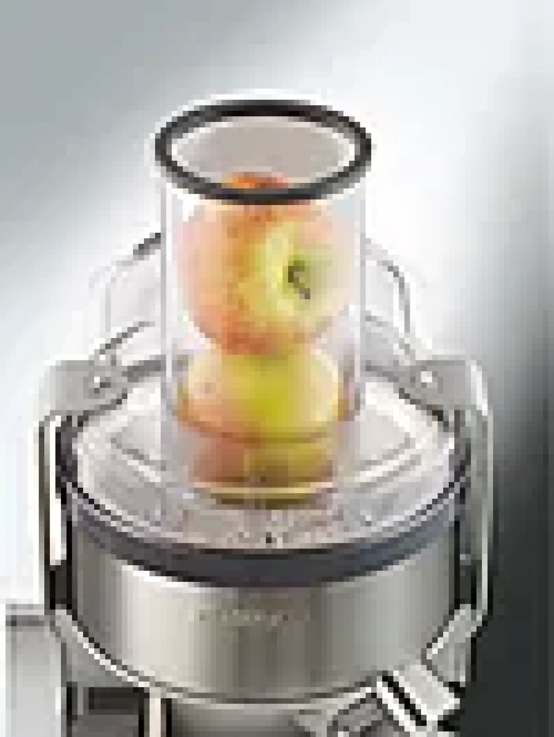 Juicer med skumfilter 1l-Kenwood Best