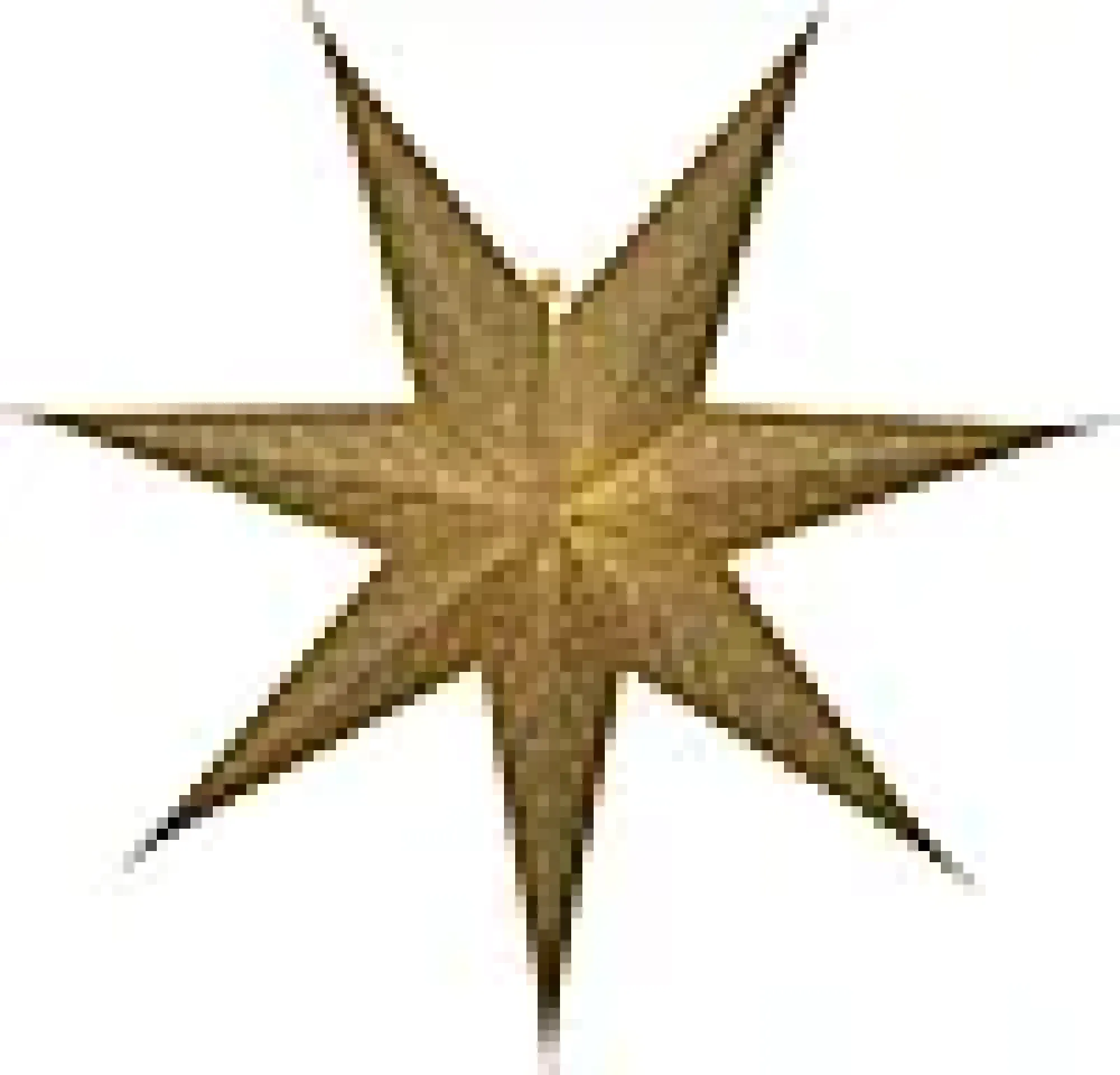 Julestjerne Brodie 7-spiss-Star trading