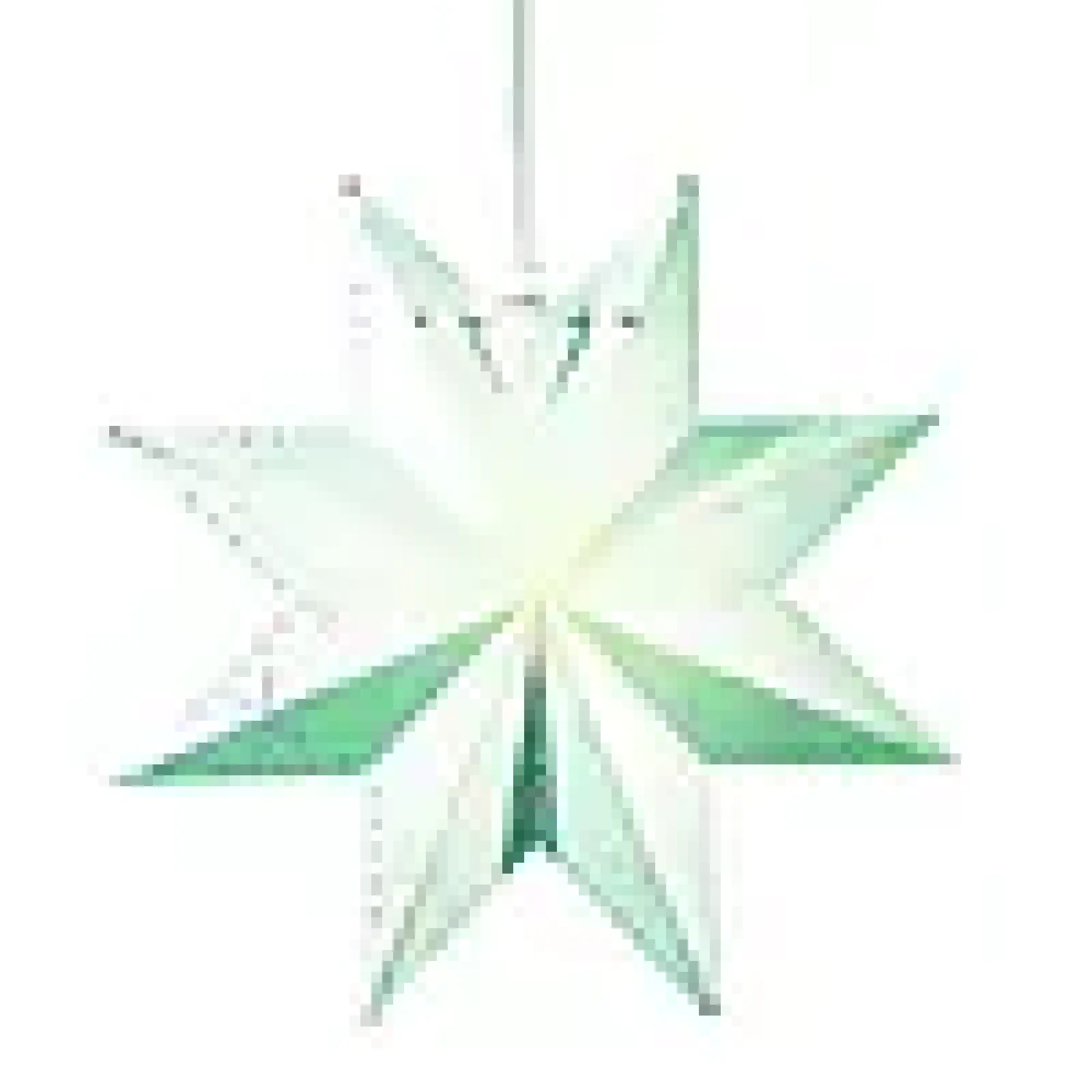 Julestjerne klassisk hvit-Star trading New