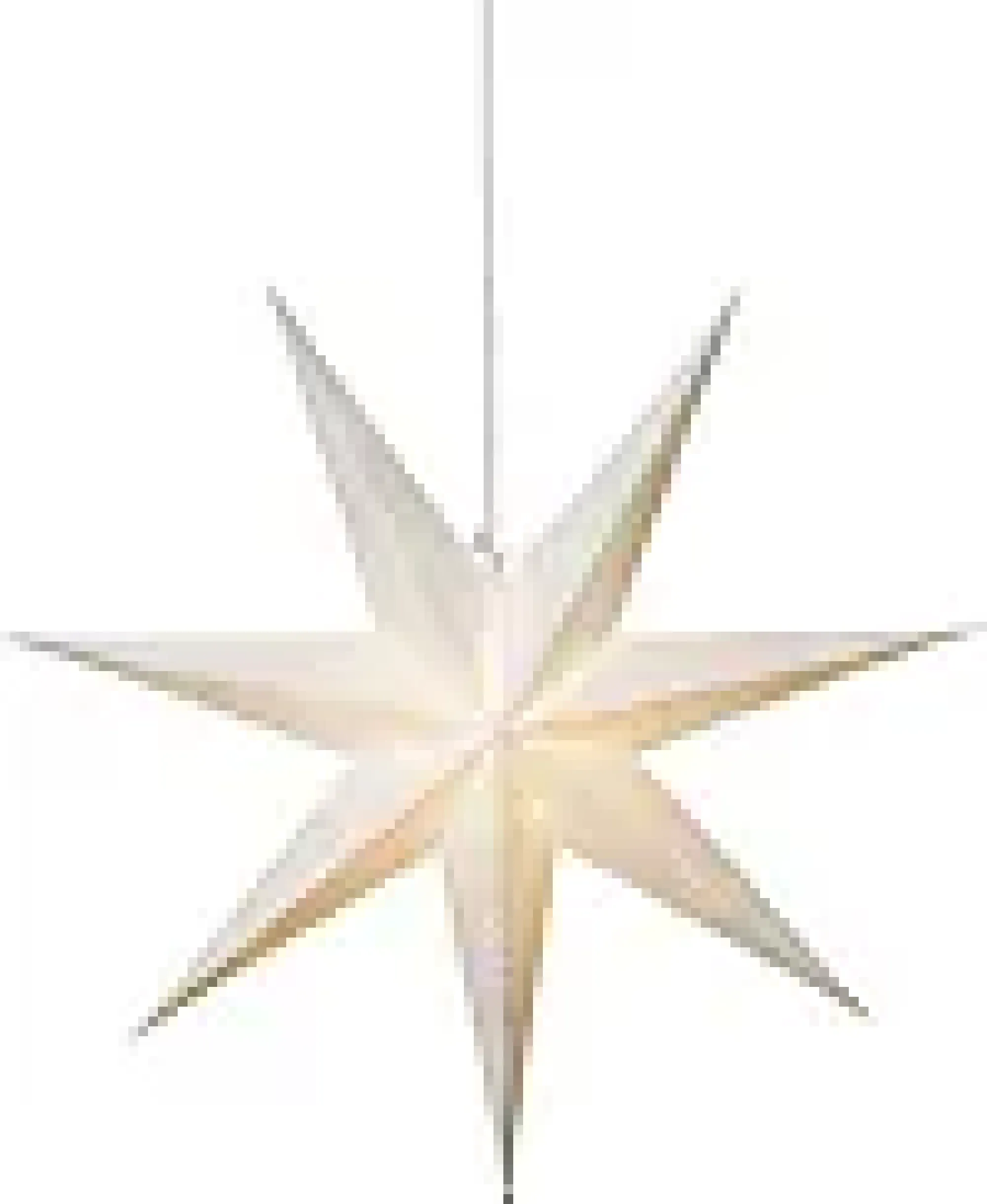 Julestjerne Lysa 70cm-Star trading Sale