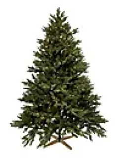 Juletre Hege 490ledlys 180cm- Outlet