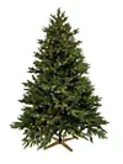 Juletre Hege 650ledlys 210cm- Discount