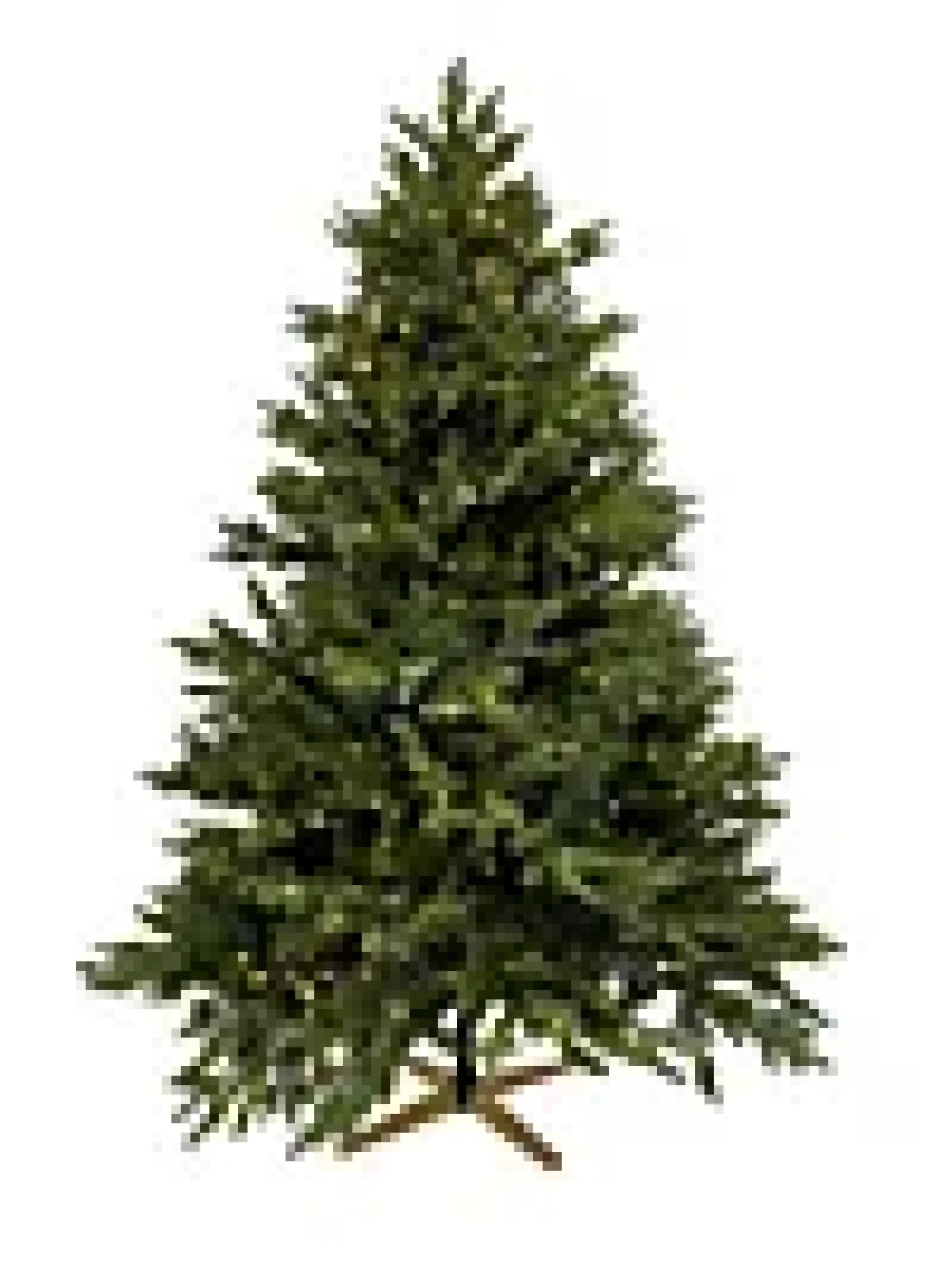 Juletre Hege 650ledlys 210cm- Discount