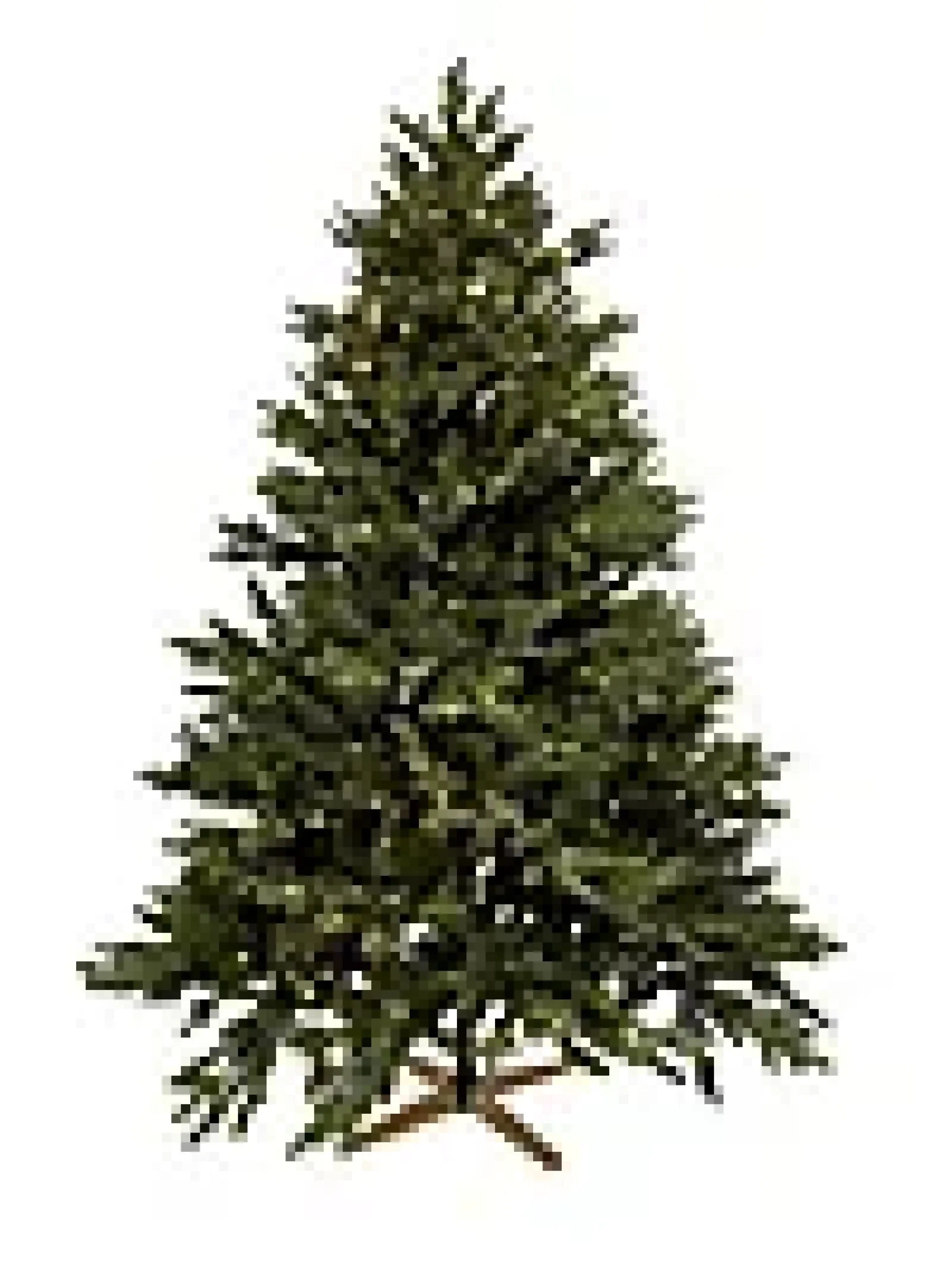 Juletre Hege 650ledlys 210cm- Discount
