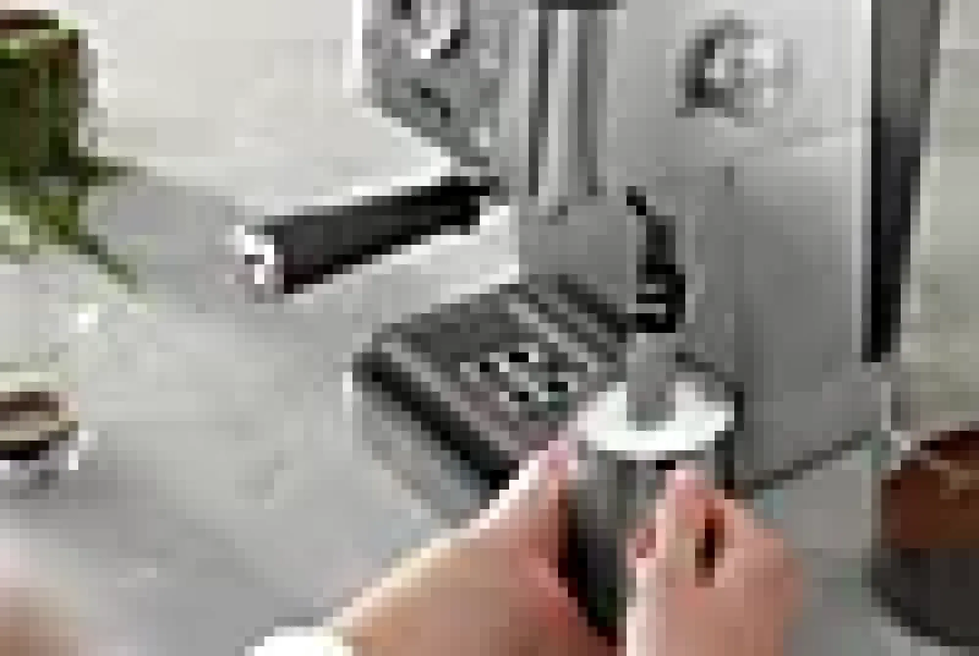 Kaffemaskin Classic EM450.M-Delonghi Hot