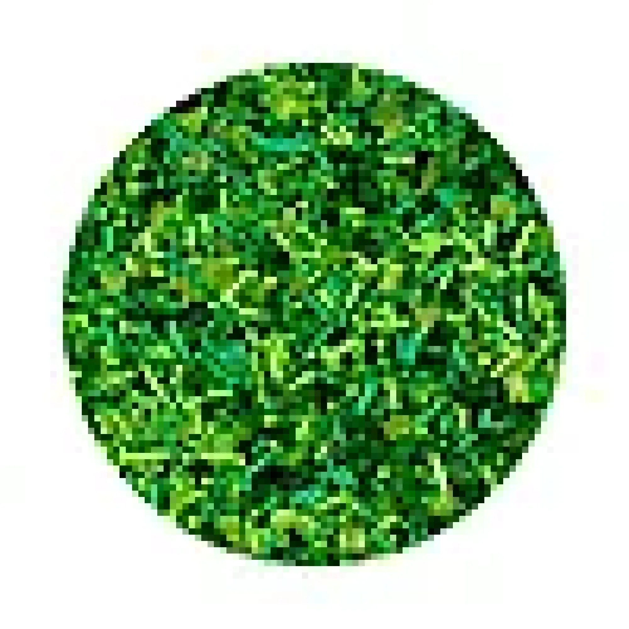 Kakestrø gress 85g-Cacas Best