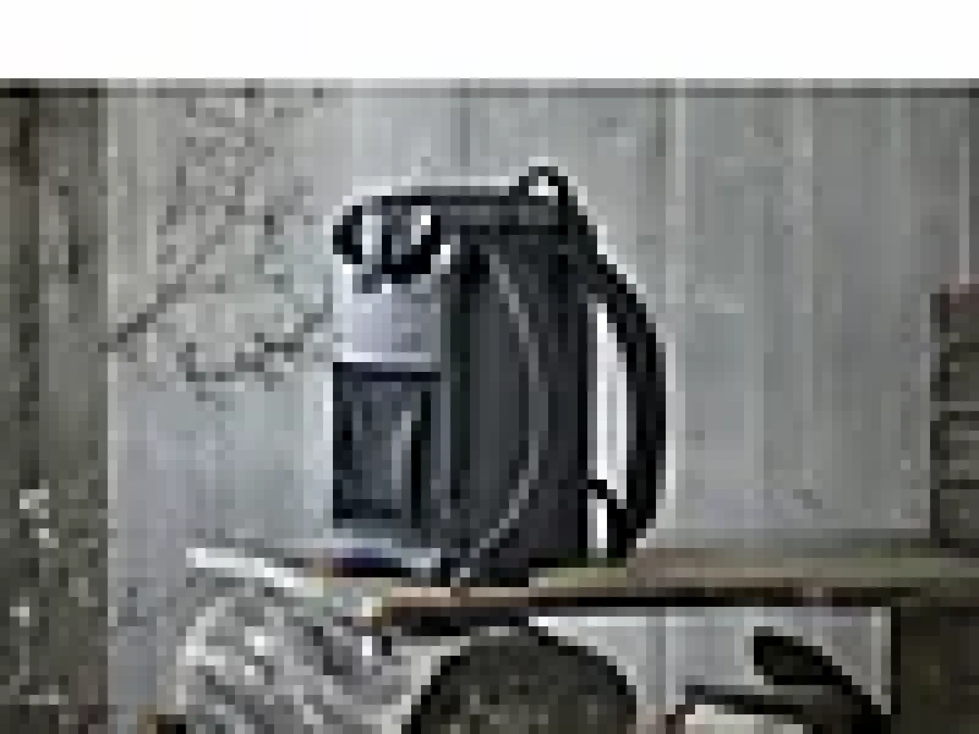 Kjøleryggsekk 17x29x38cm-Thermos Hot