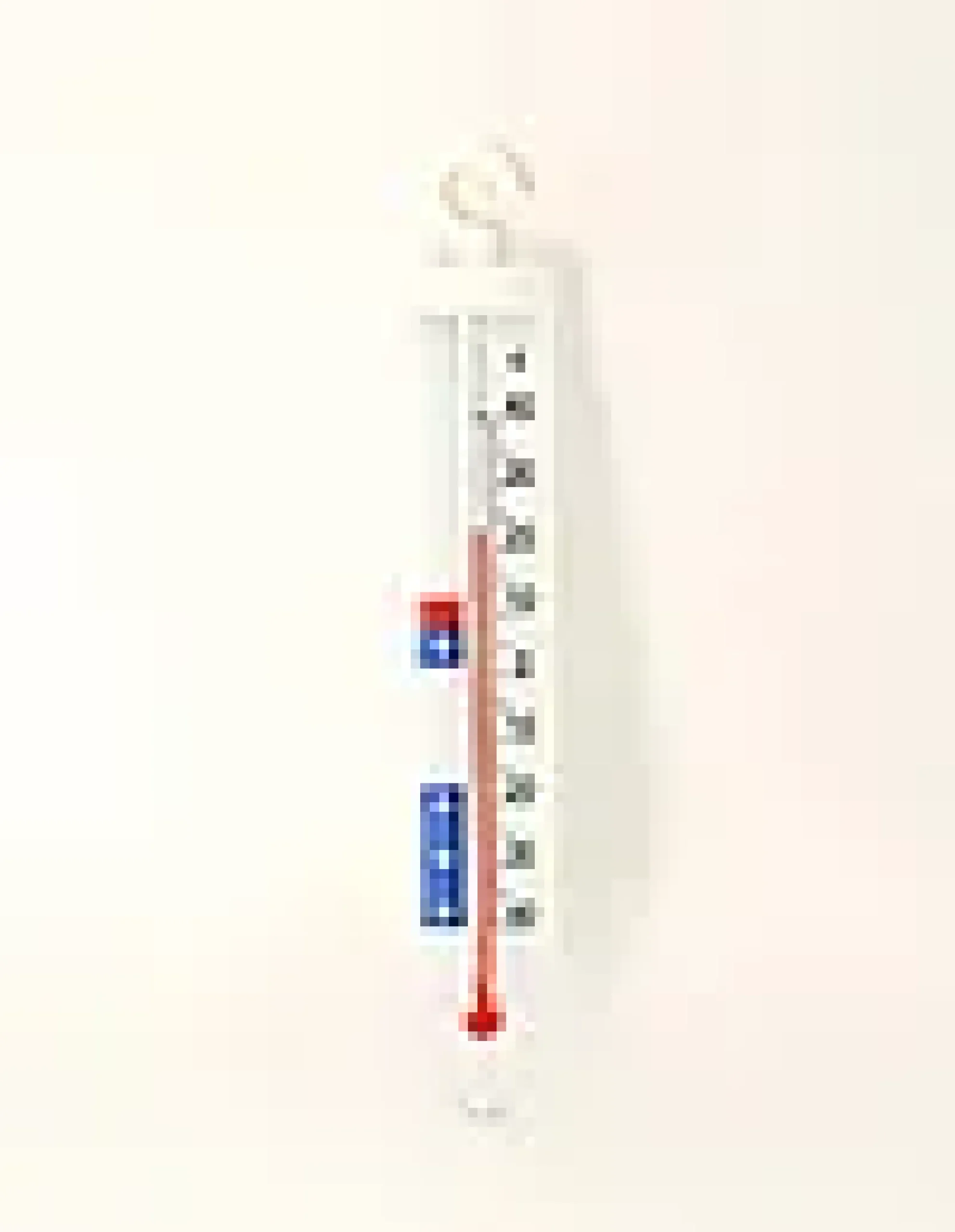 Kjøleskapstermometer Hvit-
