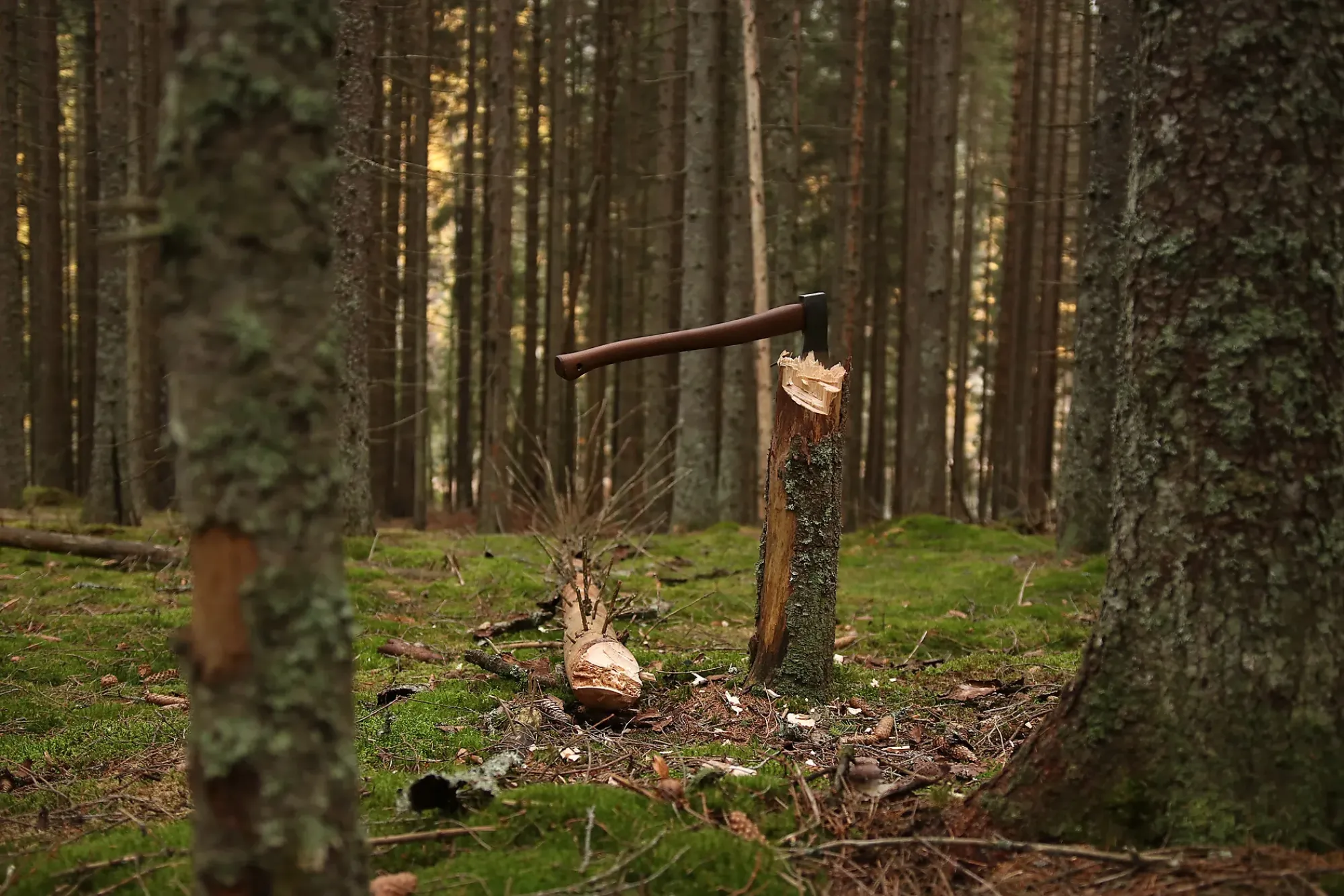 Kløyveøks 1,4kg 26"-Øyo