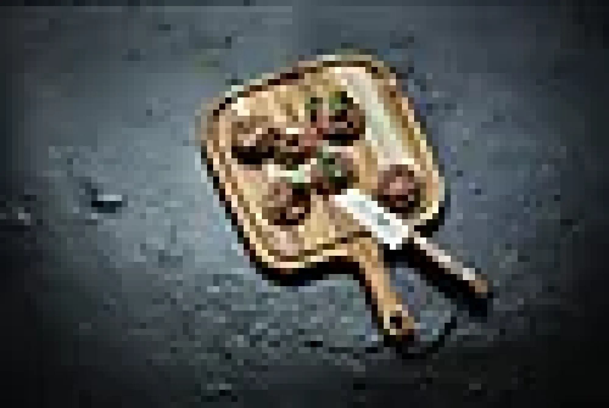 Knivsett Kebony 3stk-Victorinox
