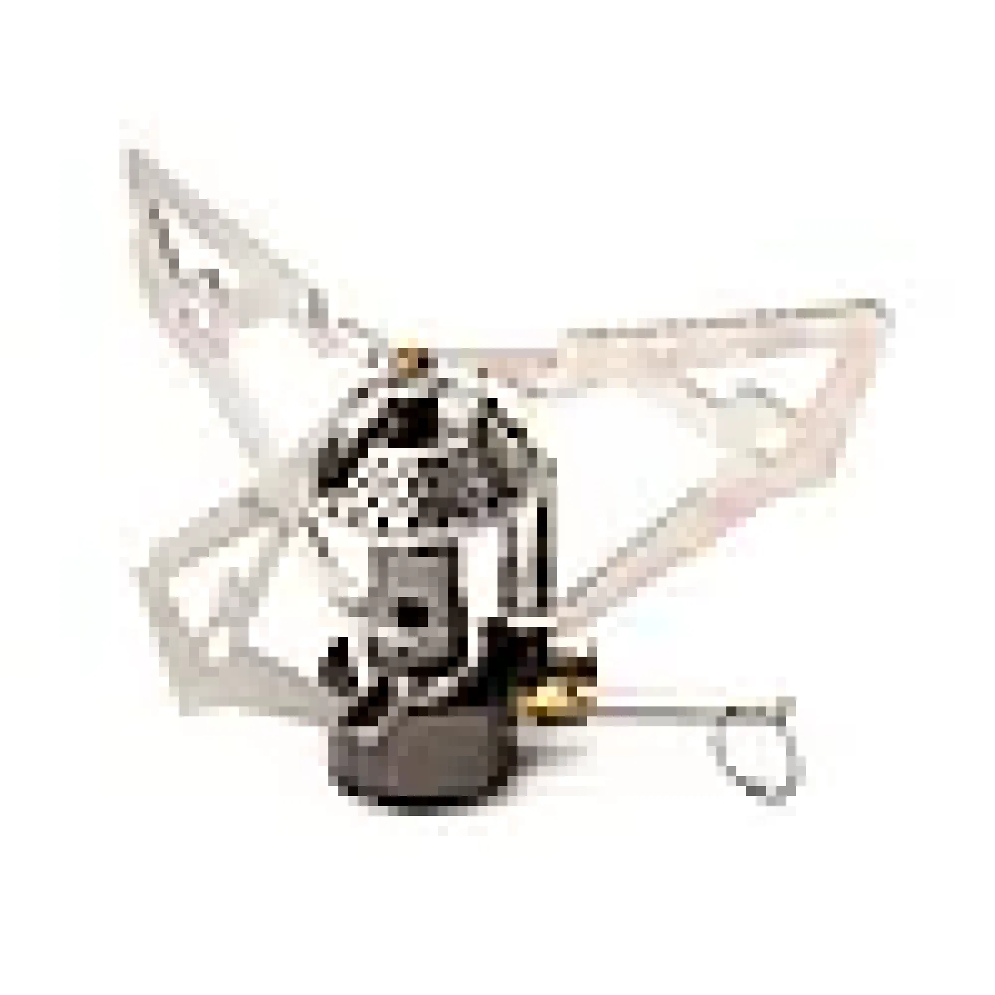 Kokeapparat Camp 160g for gassboks med skrufeste 450g-Sunwind Clearance