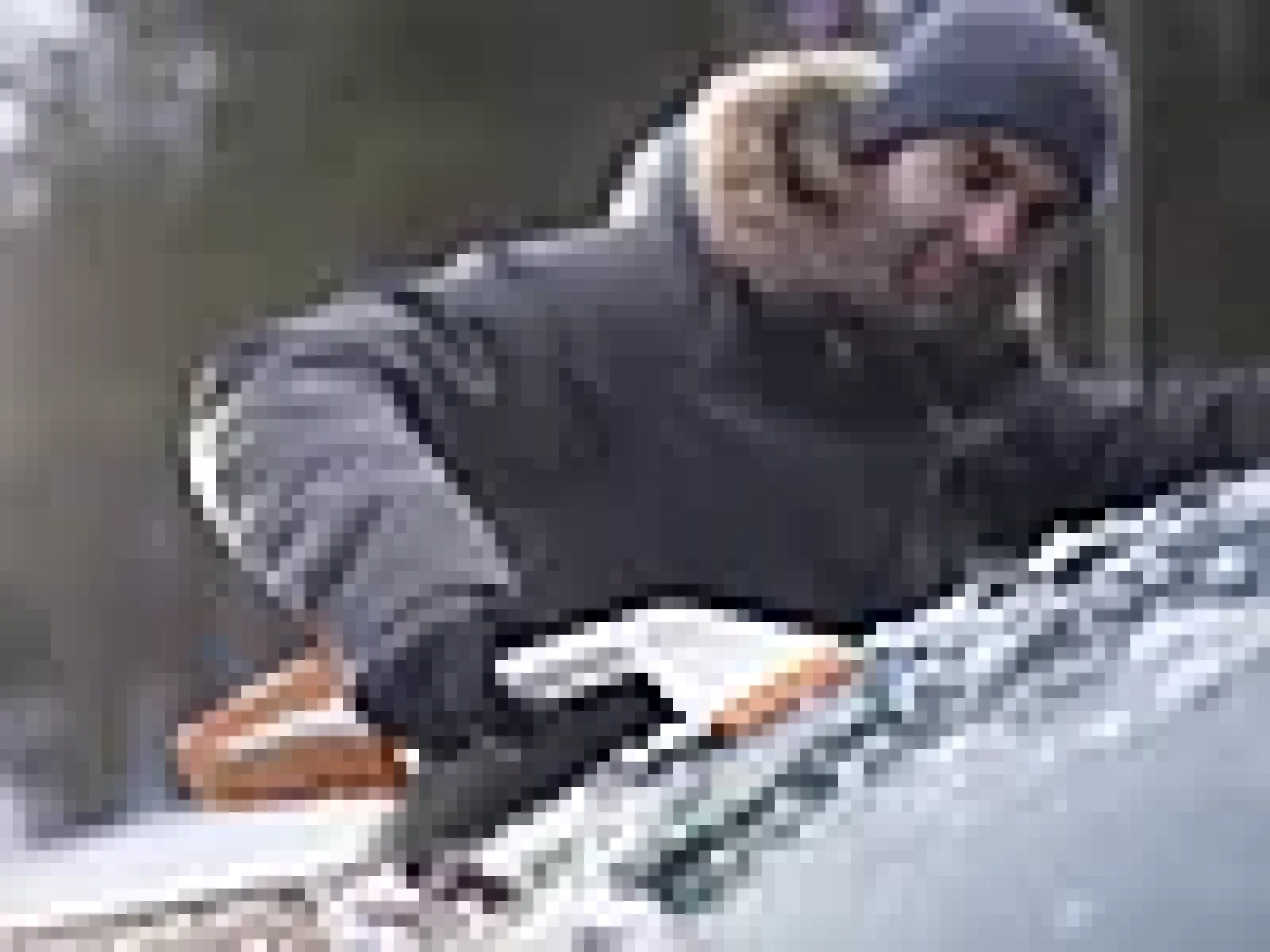 Kost & isskrape Snowexpert-Fiskars New