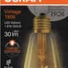 Led Dekorasjonspære E27 Edison 30lm Gold Varmere Lys-Osram Hot