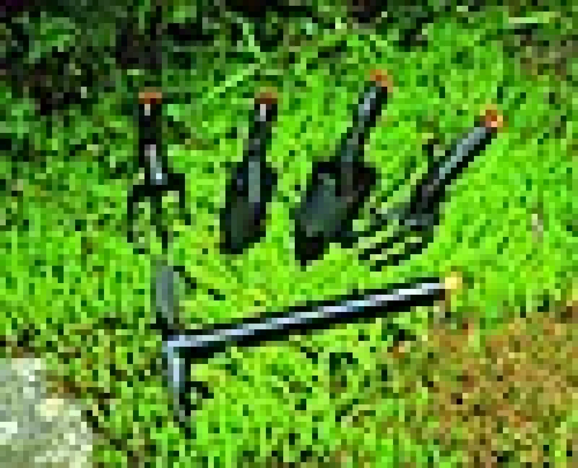 Lukeklo Solid-Fiskars