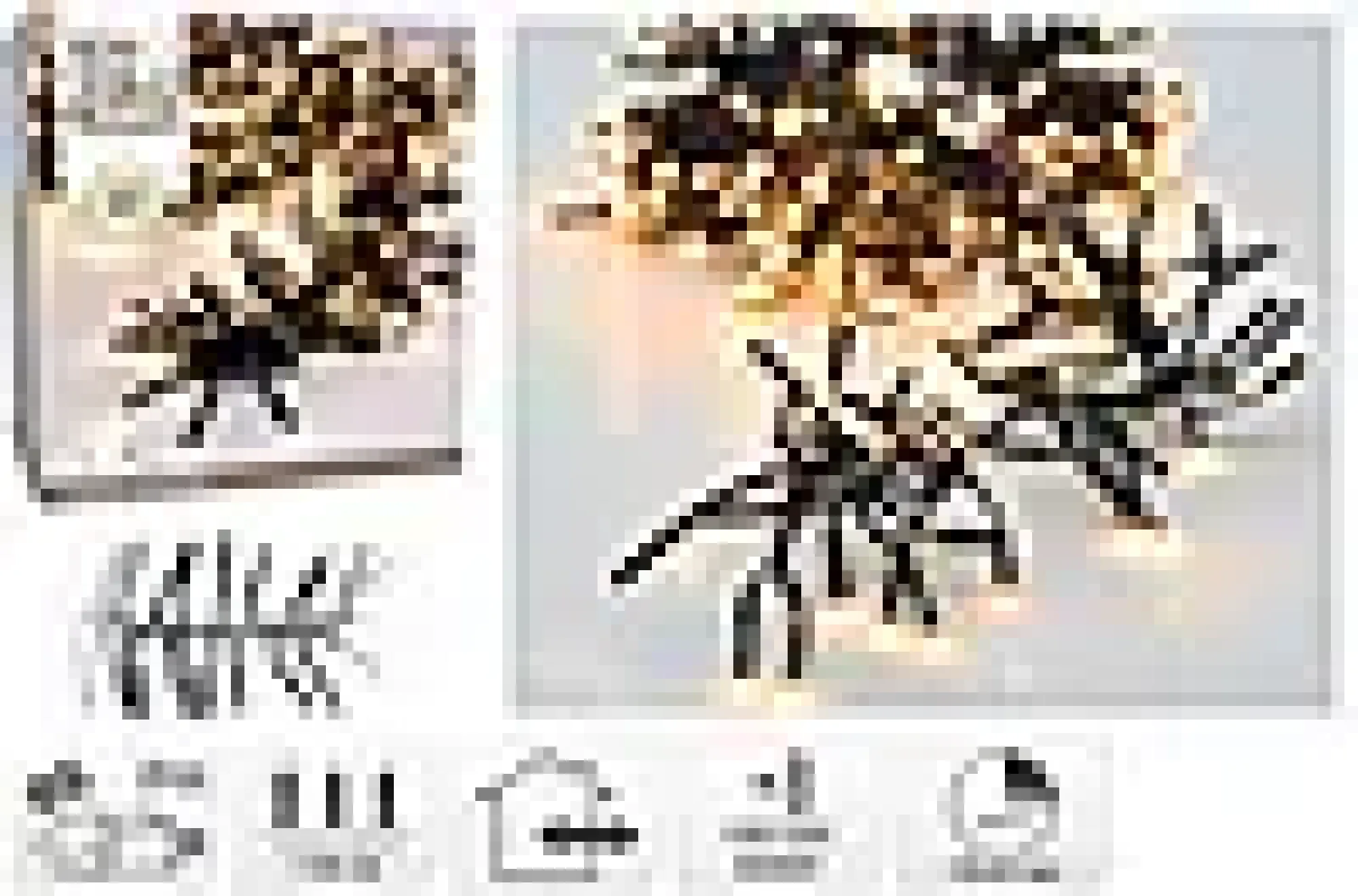 Lysslynge Cluster Lights 1512ledlys varmhvit IP44 11m-Ki New