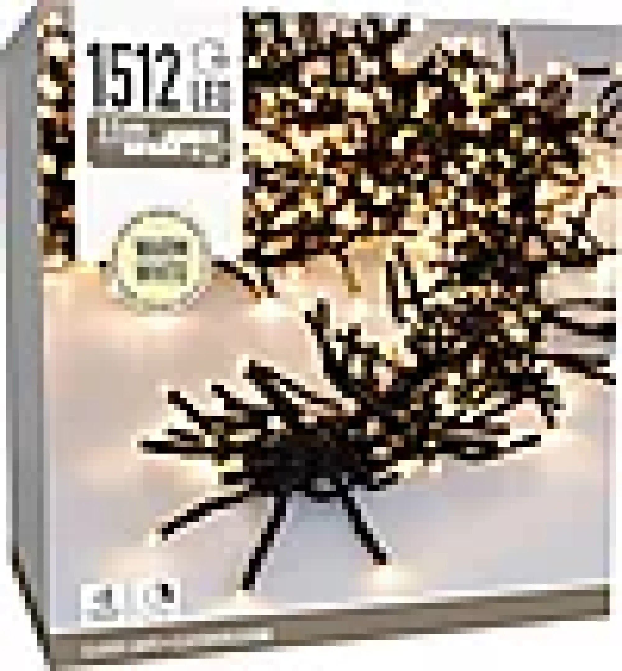Lysslynge Cluster Lights 1512ledlys varmhvit IP44 11m-Ki New