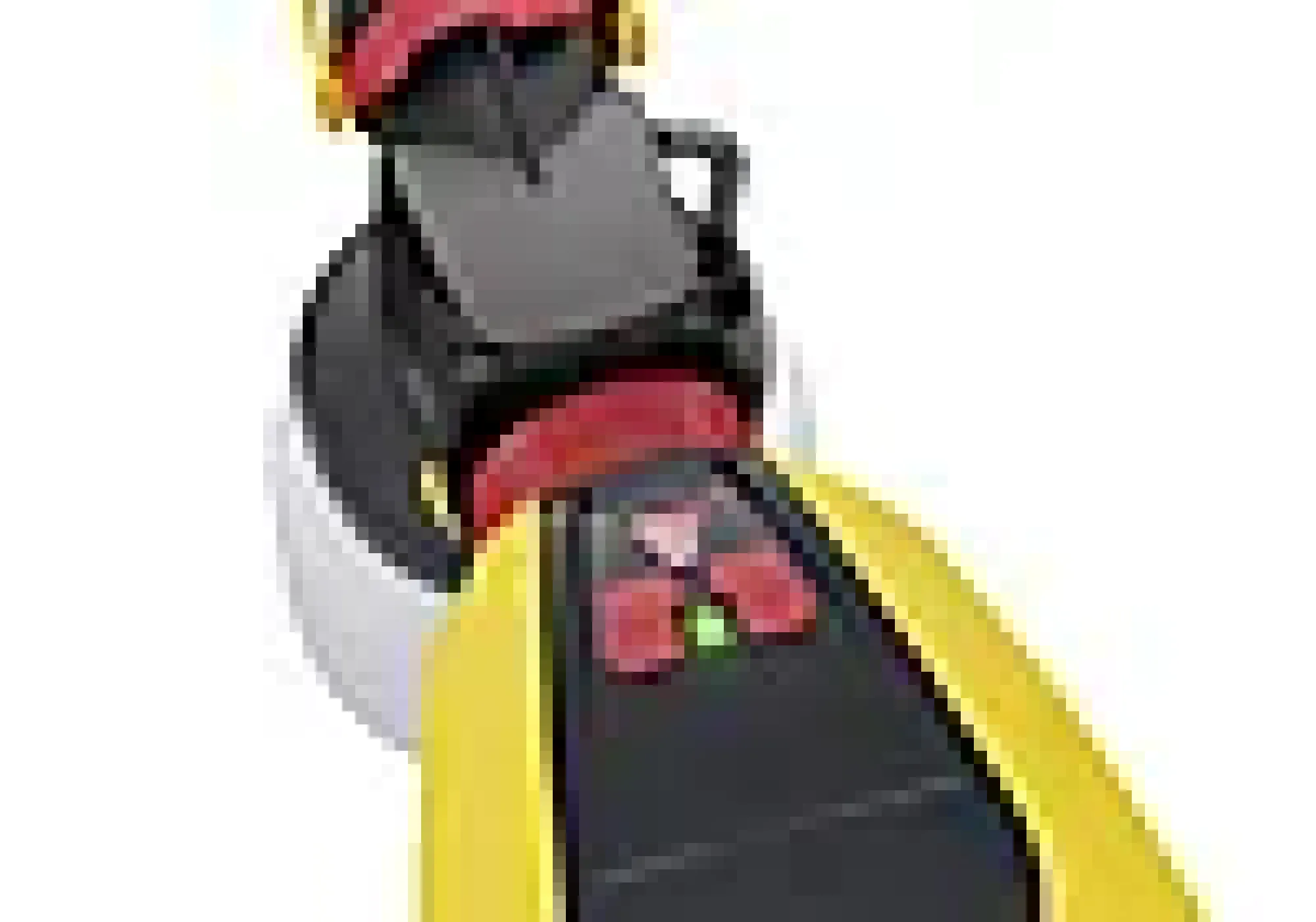 Malesprøyte universal W600 18V-Wagner Discount