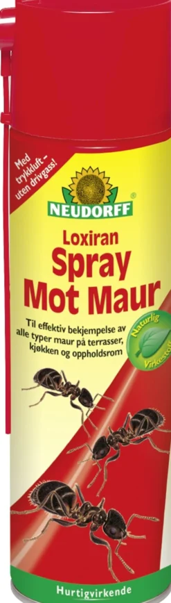Maurspray Loxiran 400ml-Neudorff Clearance