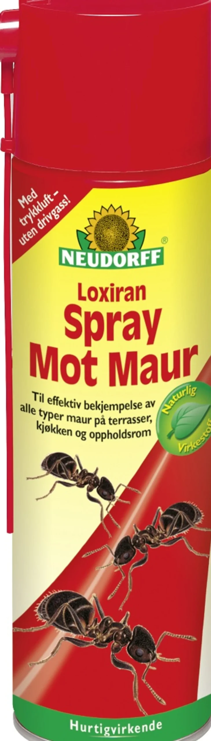 Maurspray Loxiran 400ml-Neudorff Clearance