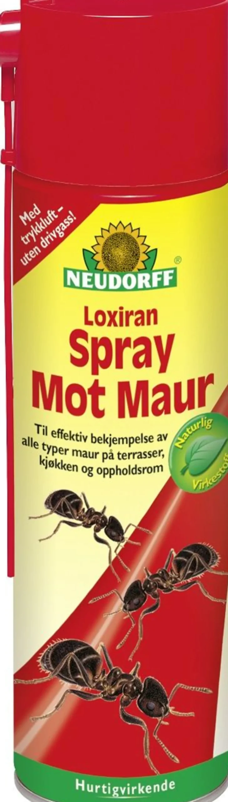 Maurspray Loxiran 400ml-Neudorff Clearance
