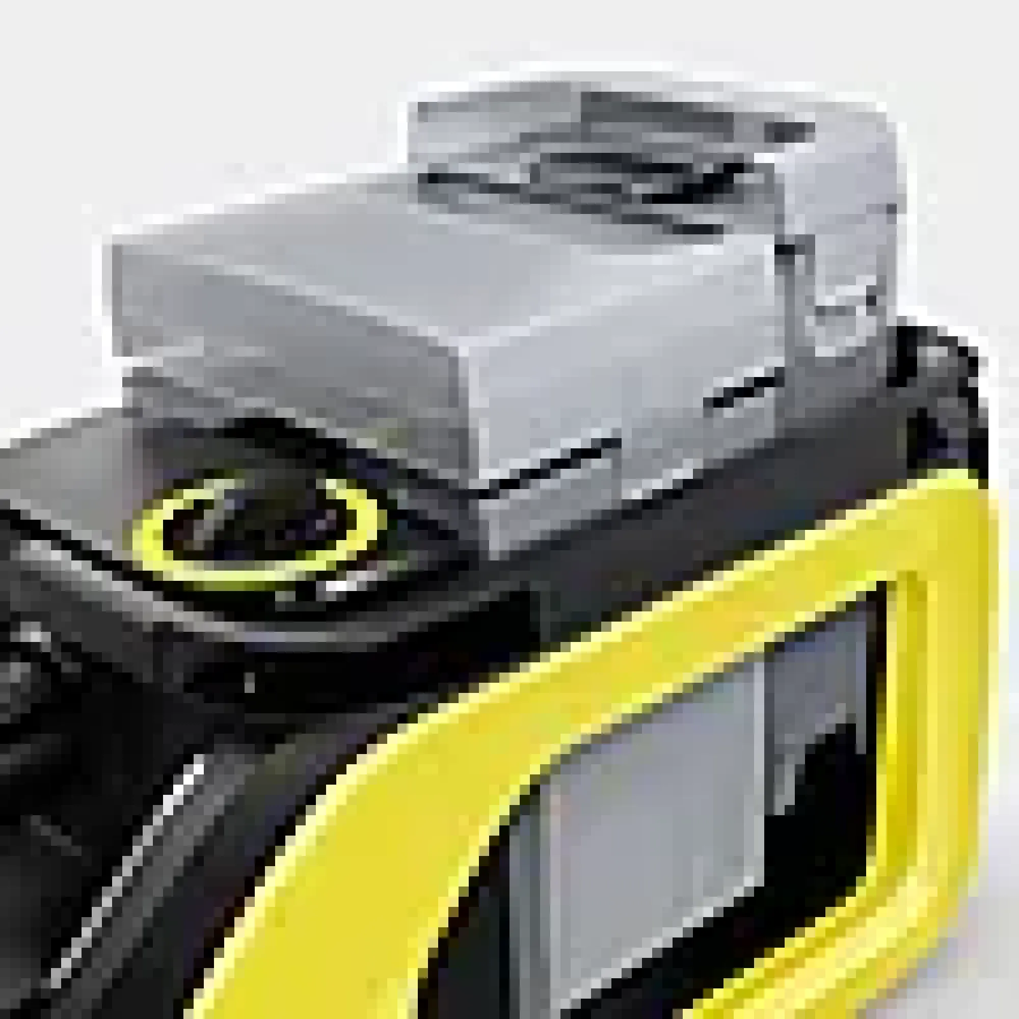 Møbel- og tepperenser SE 3 Compact-Kärcher Discount