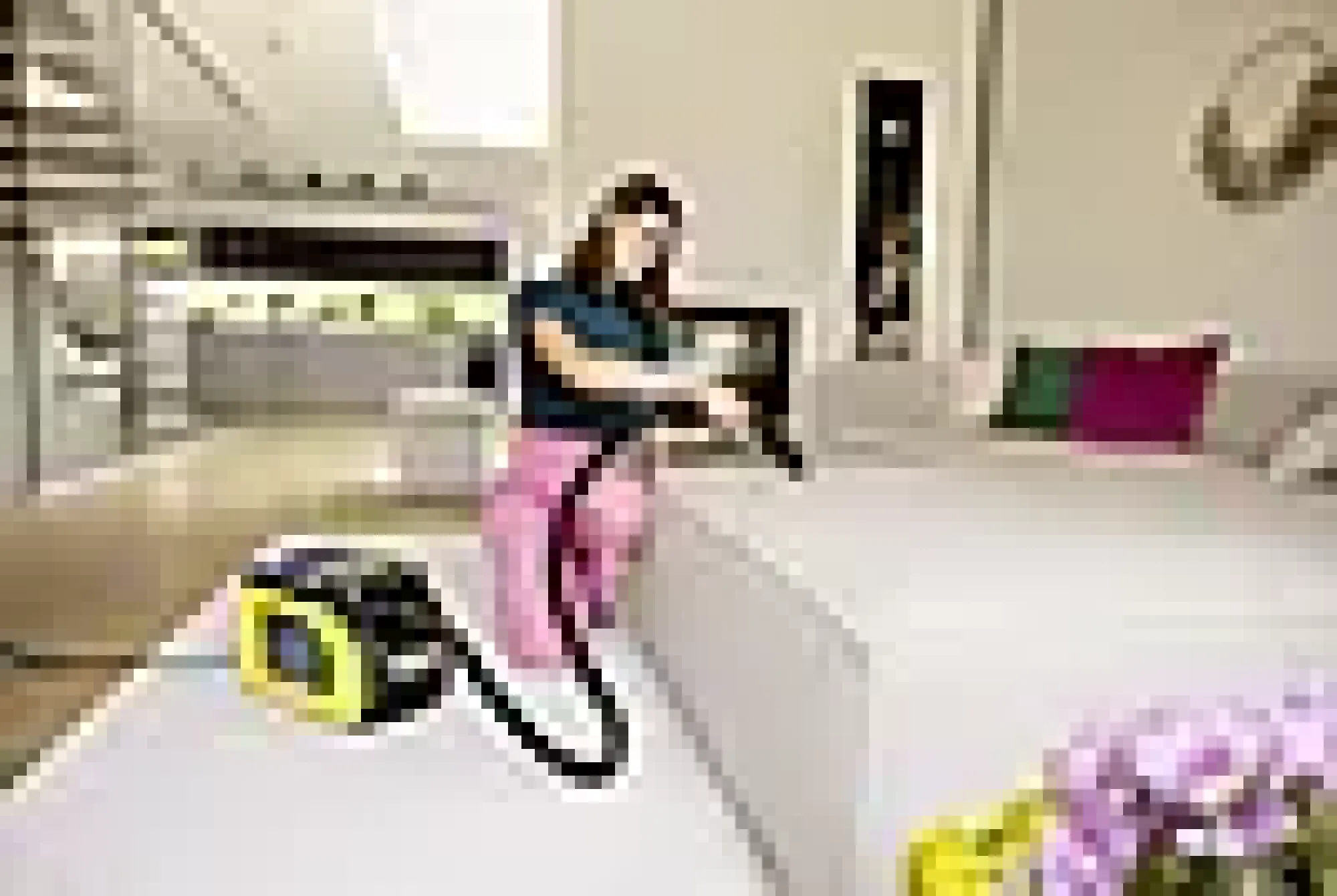 Møbel- og tepperenser SE 3 Compact-Kärcher Discount