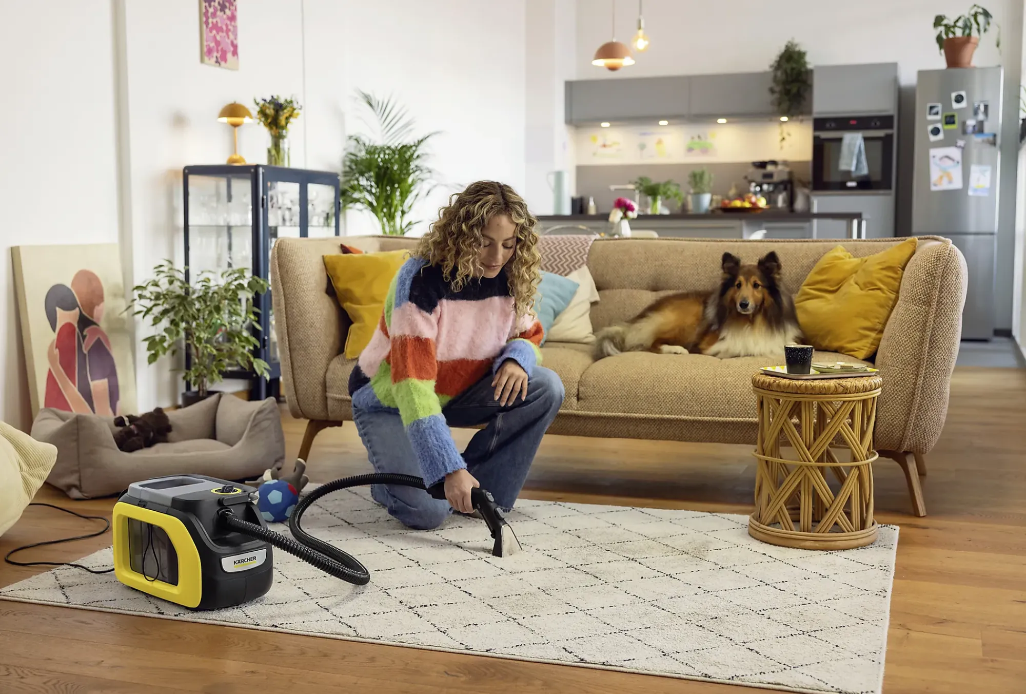 Møbel- og tepperenser SE 3 Compact-Kärcher Discount