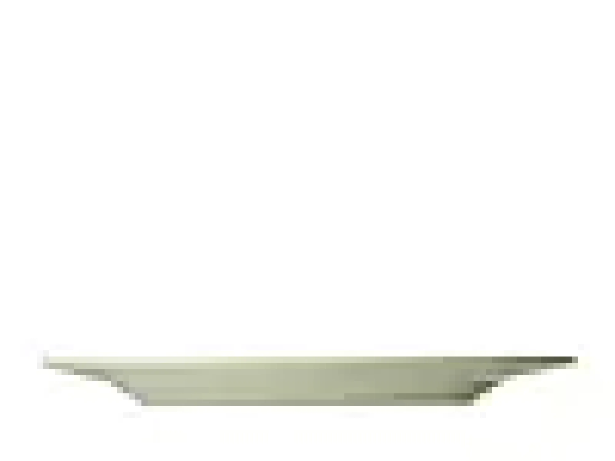 Middagstallerken Horizon grass 27cm 4stk-Coast