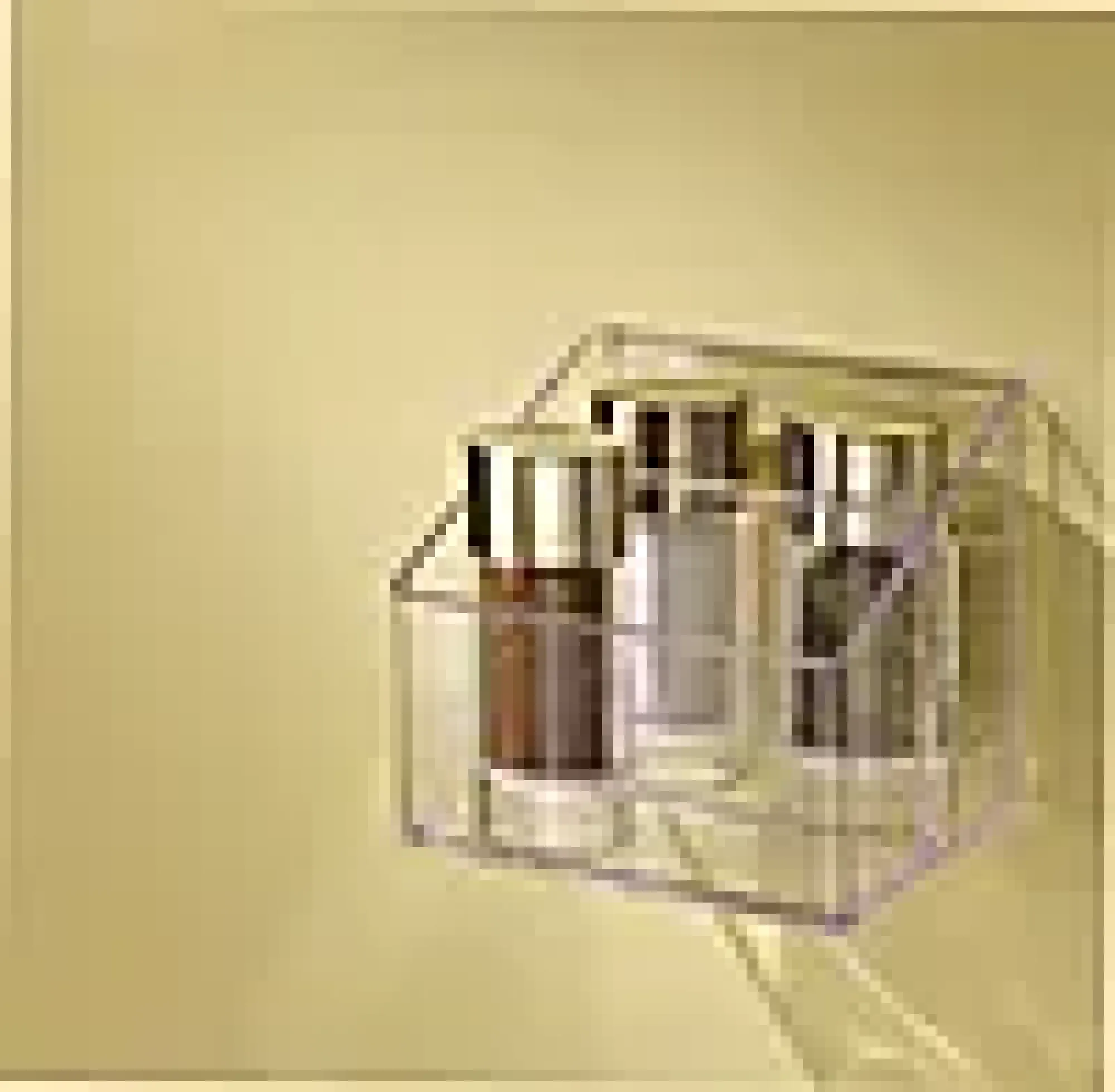 Monteringstape transparent 19mmx1,5m innendørs 7kg-Scotch Best