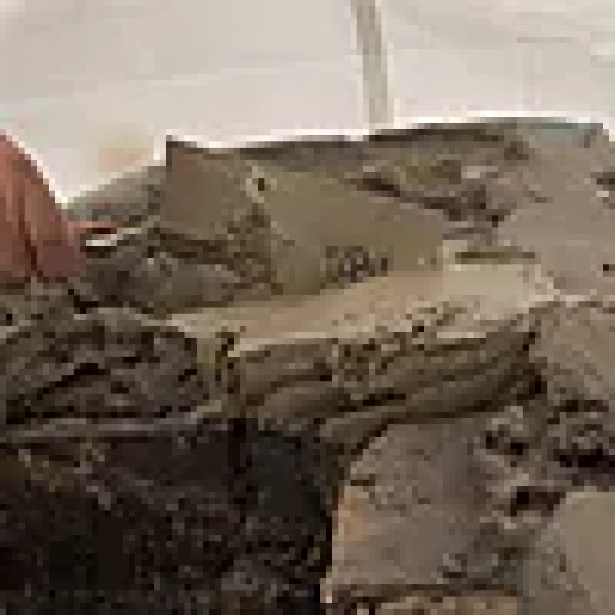 Mureskje firkant 18cm-Robust Best