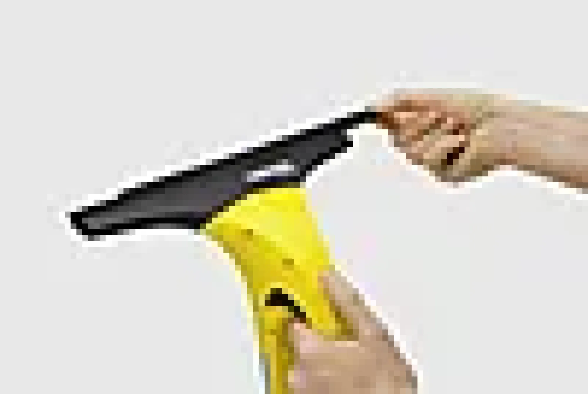 Nal til vindusvasker 280mm 2STK-Kärcher Discount