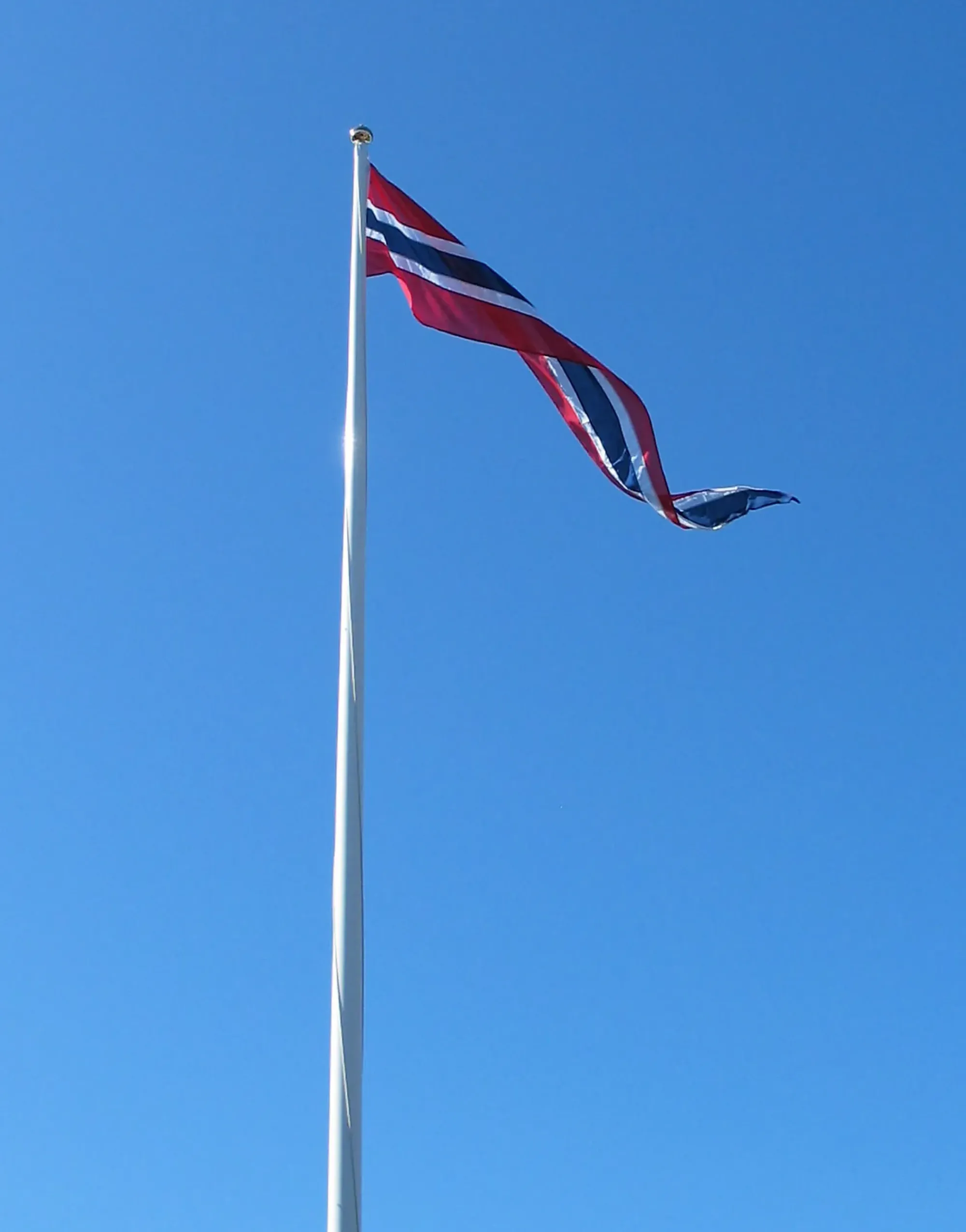 Norsk vimpel 550cm-Oslo flaggfabrikk Sale