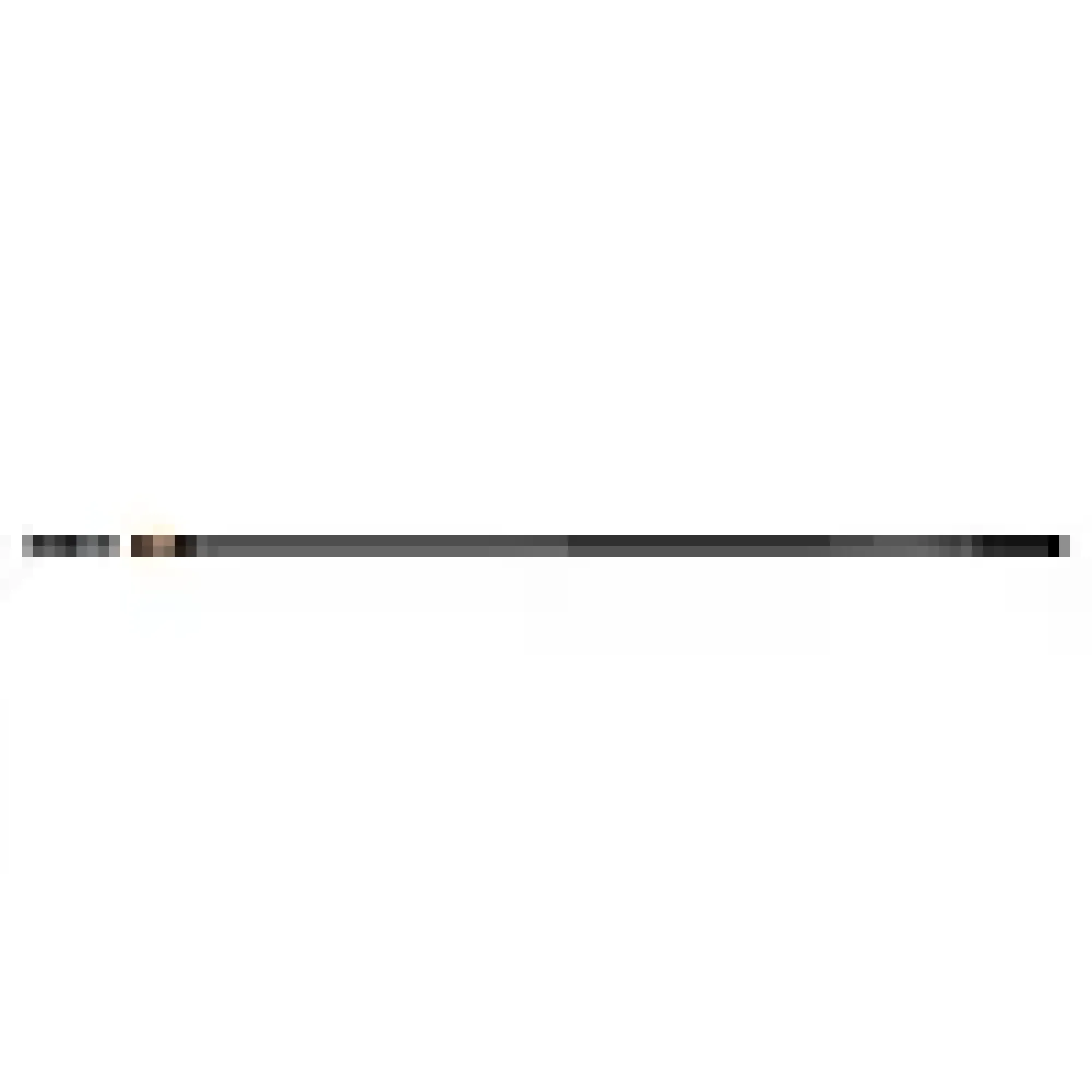 OneClick skaft L 161cm-Fiskars Discount