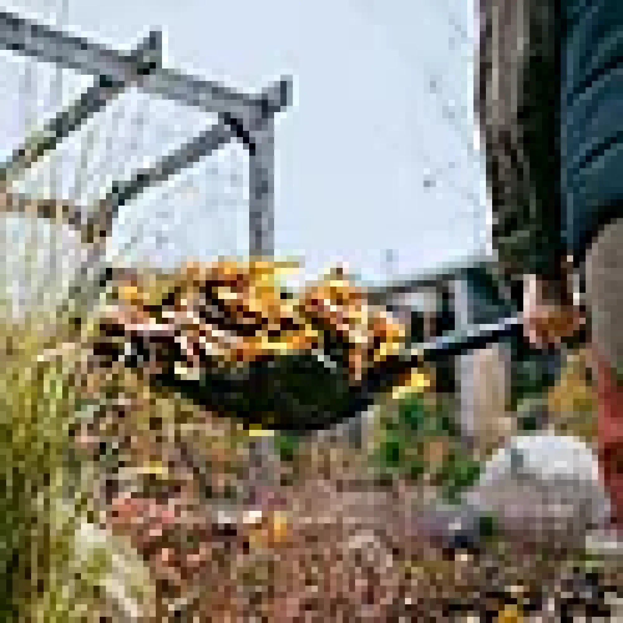 OneClick skuffe-/rake hode-Fiskars Hot
