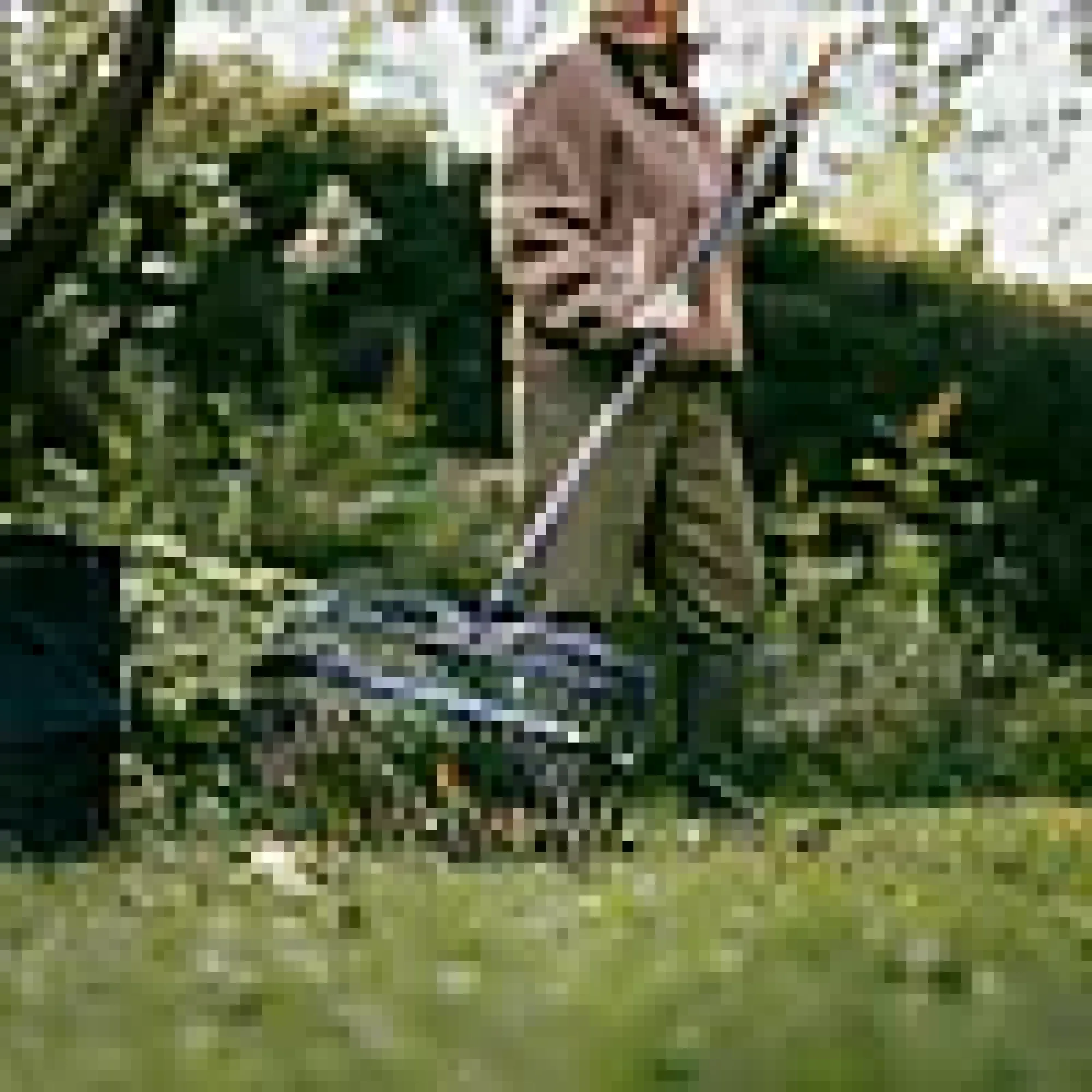OneClick skuffe-/rake hode-Fiskars Hot