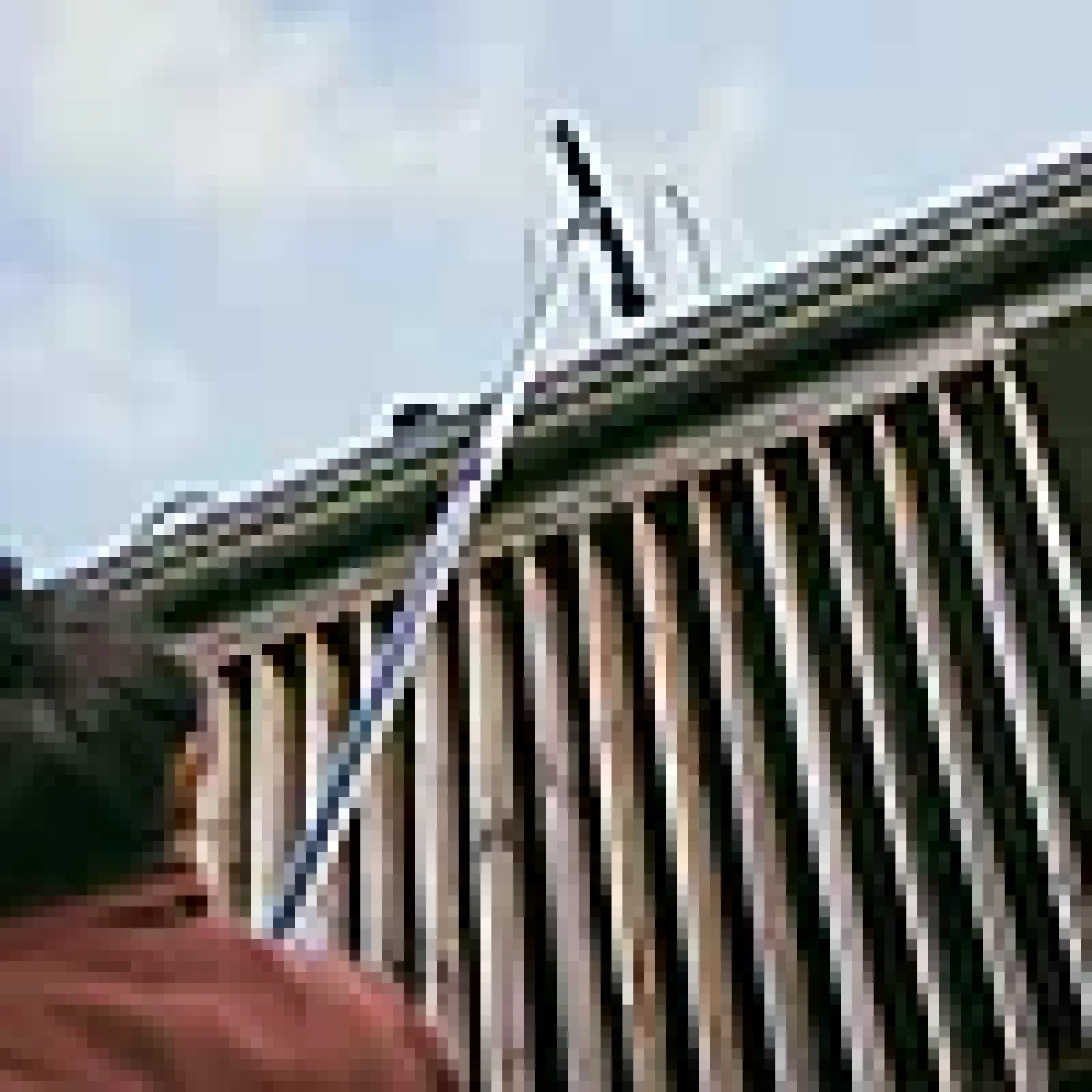 OneClick takrennerenser med skaft-Fiskars Best