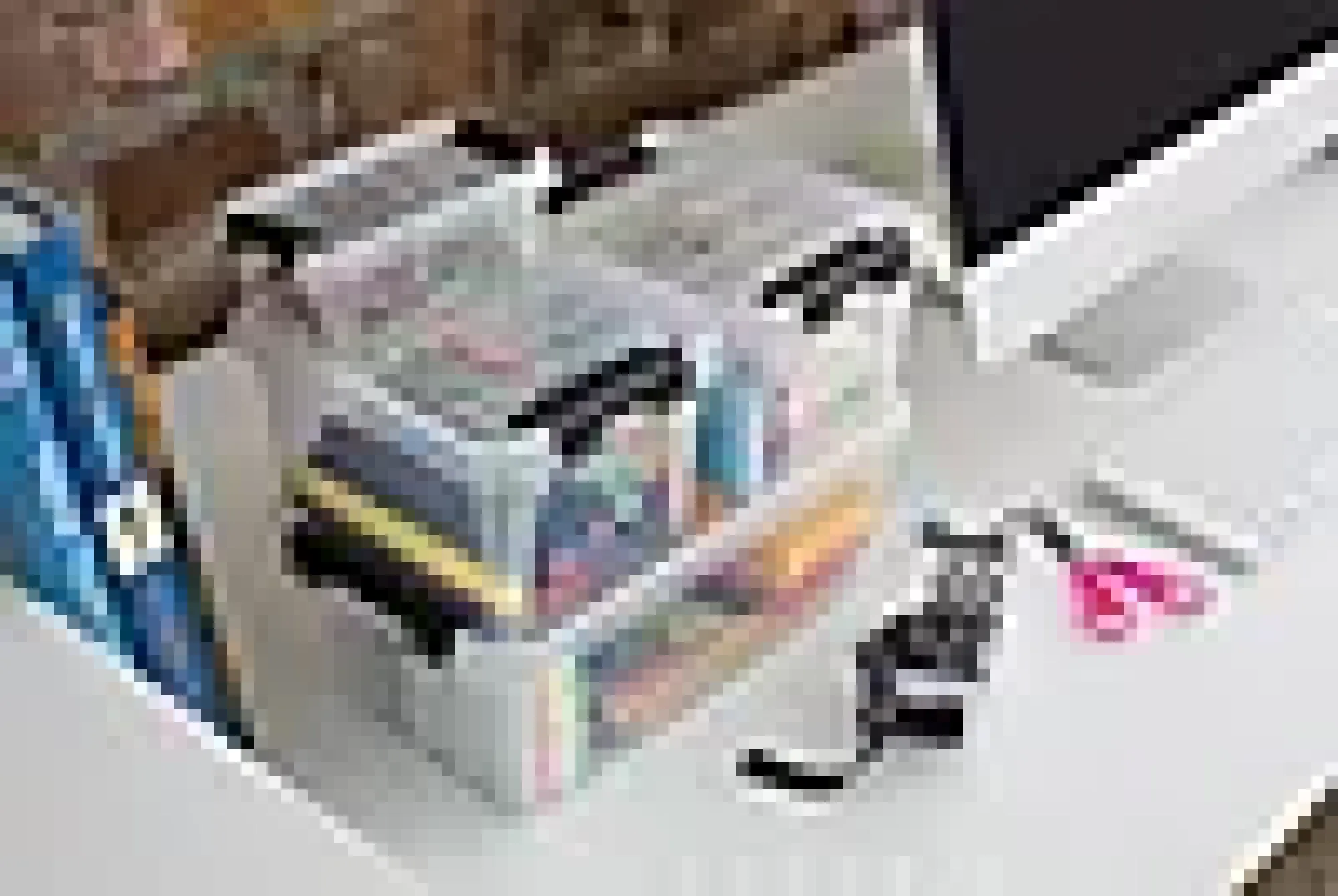 Oppbevaringsboks Classic 0,3l-Smartstore Hot